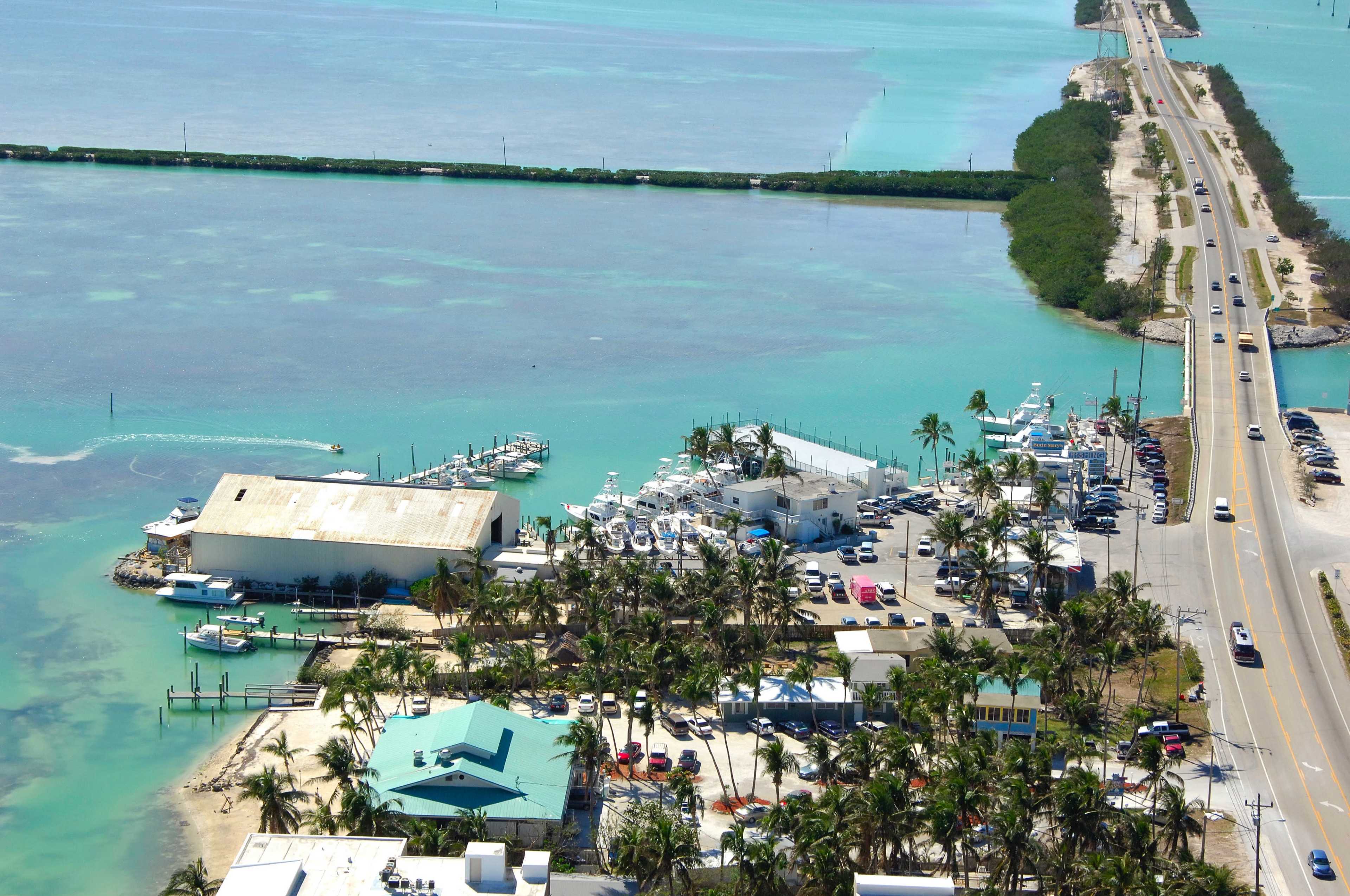 A coastal area with a marina featuring several boats, palm trees, and a highway running alongside the water.