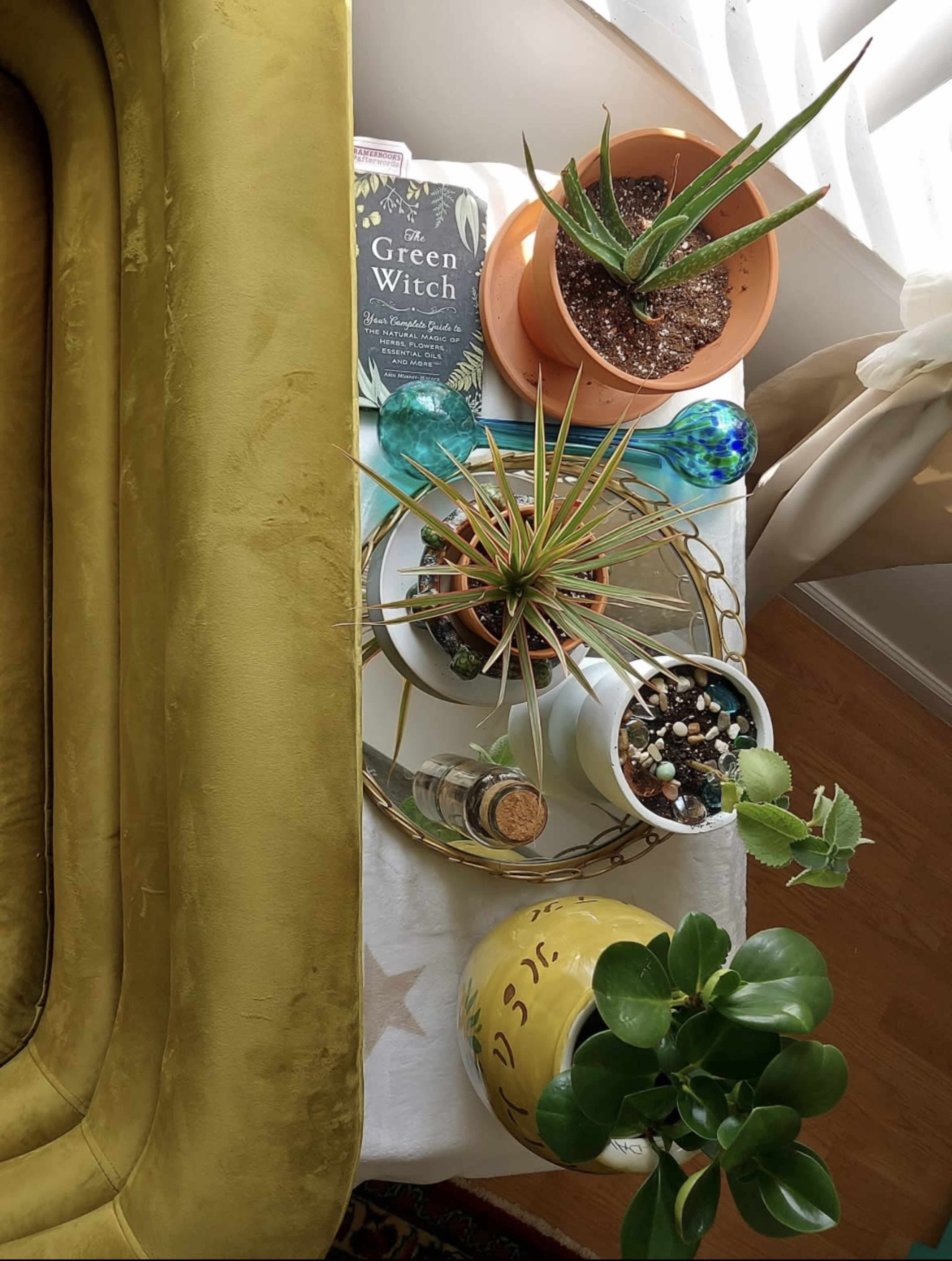 A tabletop with various potted plants, a book titled "The Green Witch," and decorative items, all arranged beside a yellow sofa.