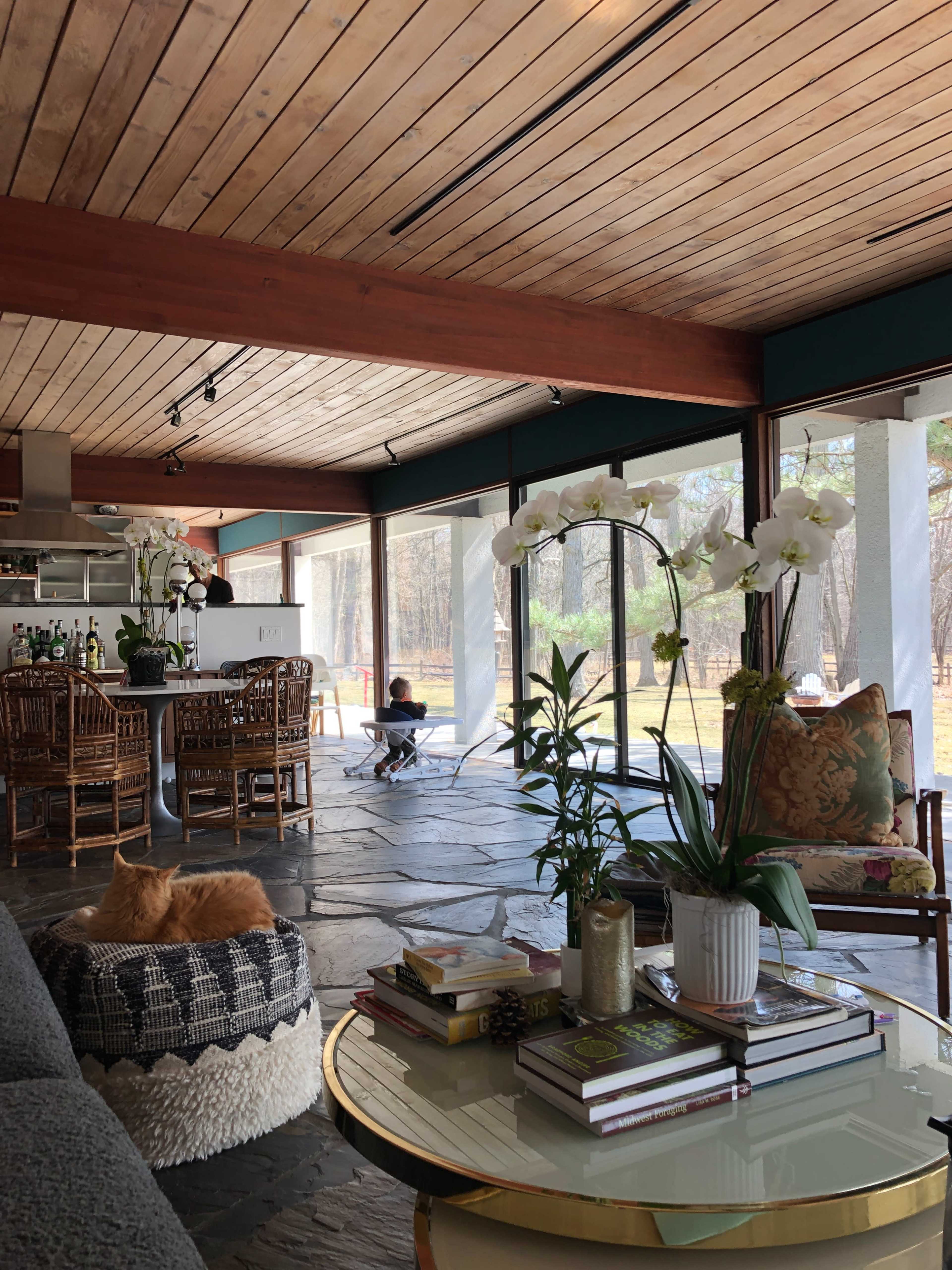 The image shows a modern living space featuring a stone floor, wooden ceiling, and large windows that provide a view of the outdoors, with plants and decorative items arranged on a table in the foreground.