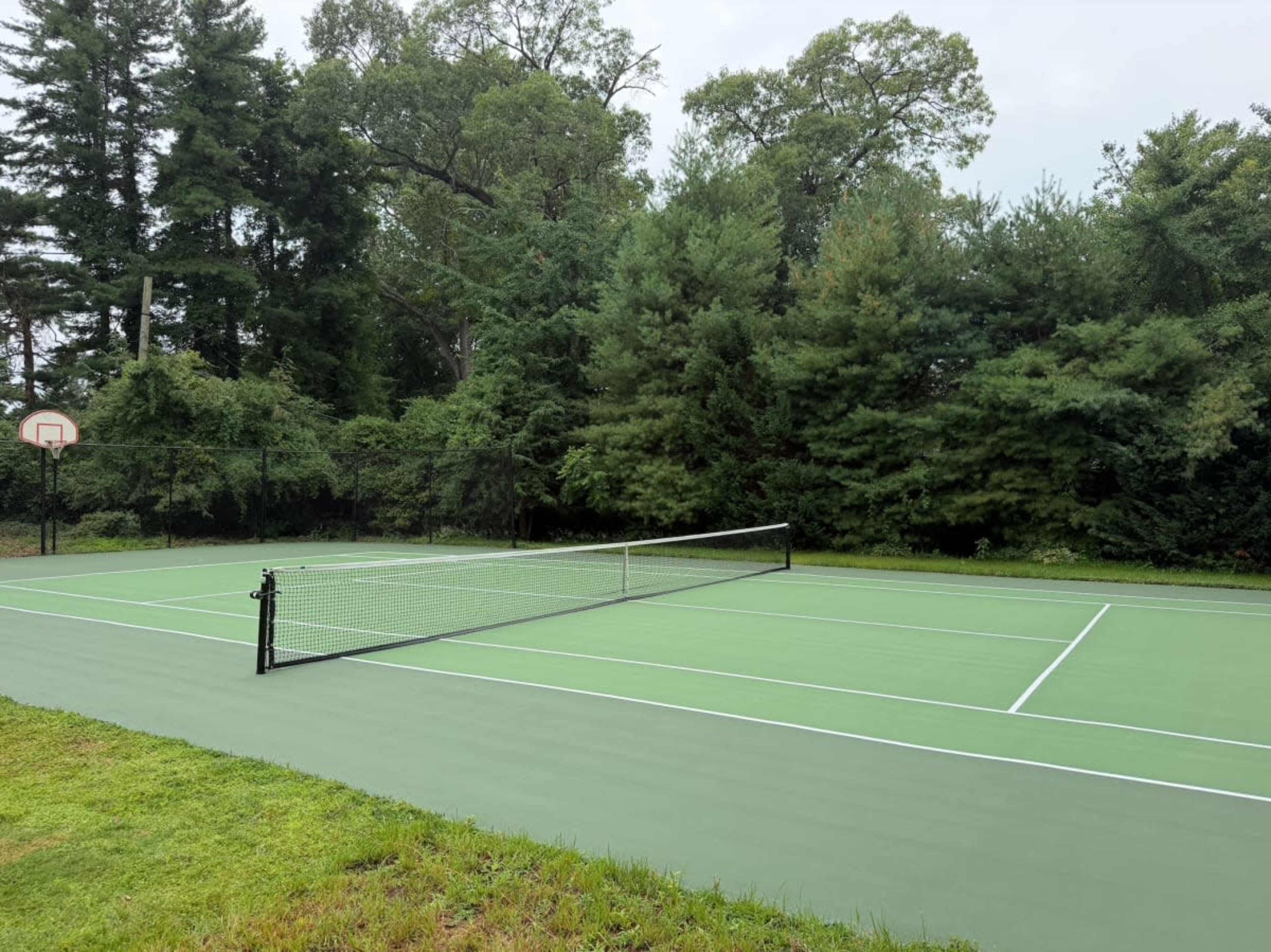 The image shows a green tennis court with a net and a basketball hoop visible in the background, surrounded by trees.