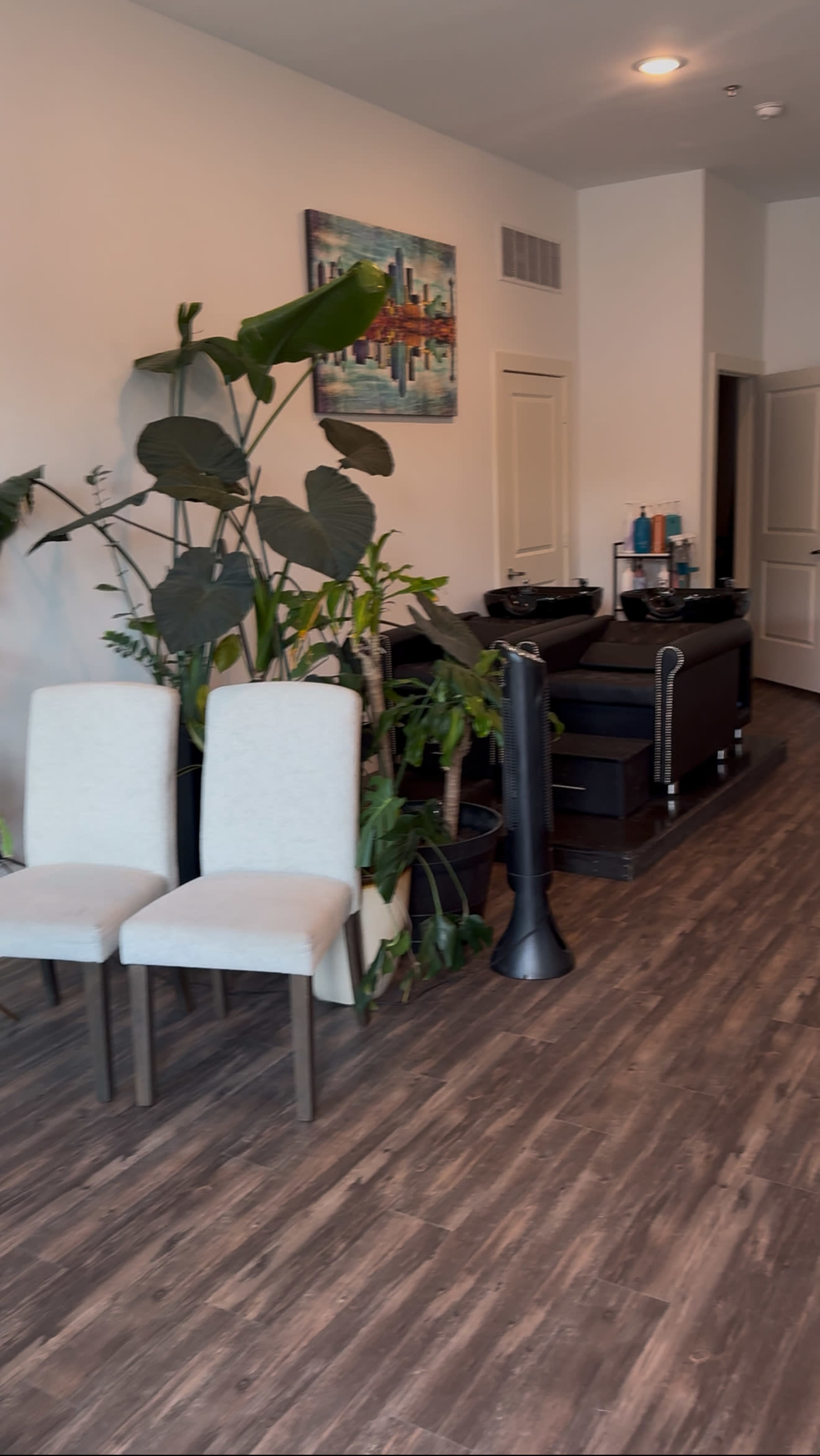 The image shows a hair salon interior with two white chairs, a row of potted plants, and a styling station in the background.