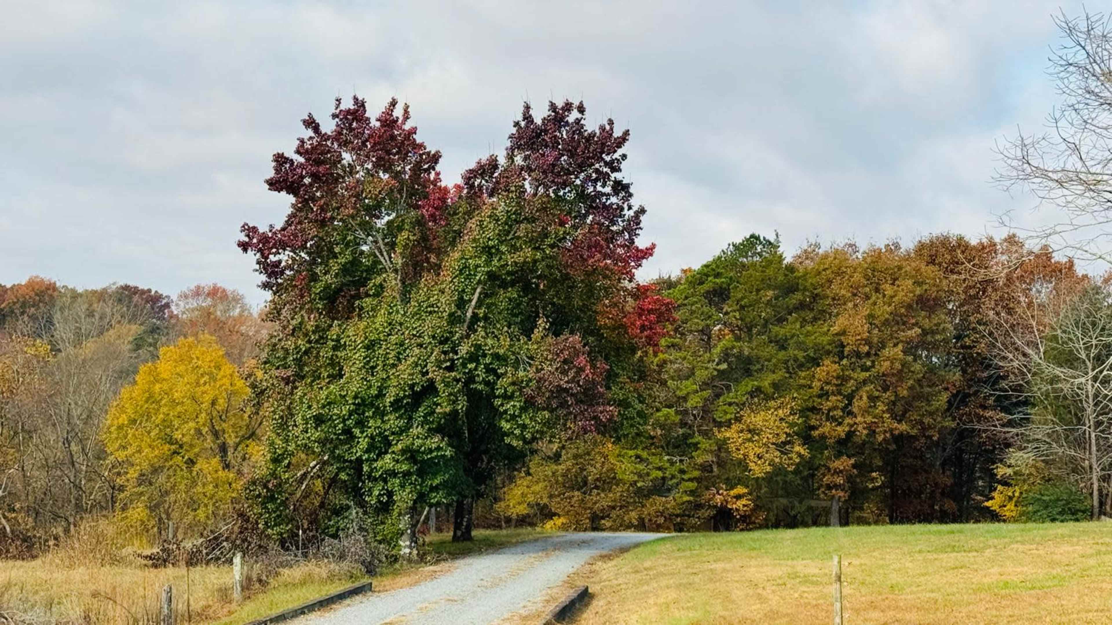 FarmStay at Golden Meadows Image in , concord, NC