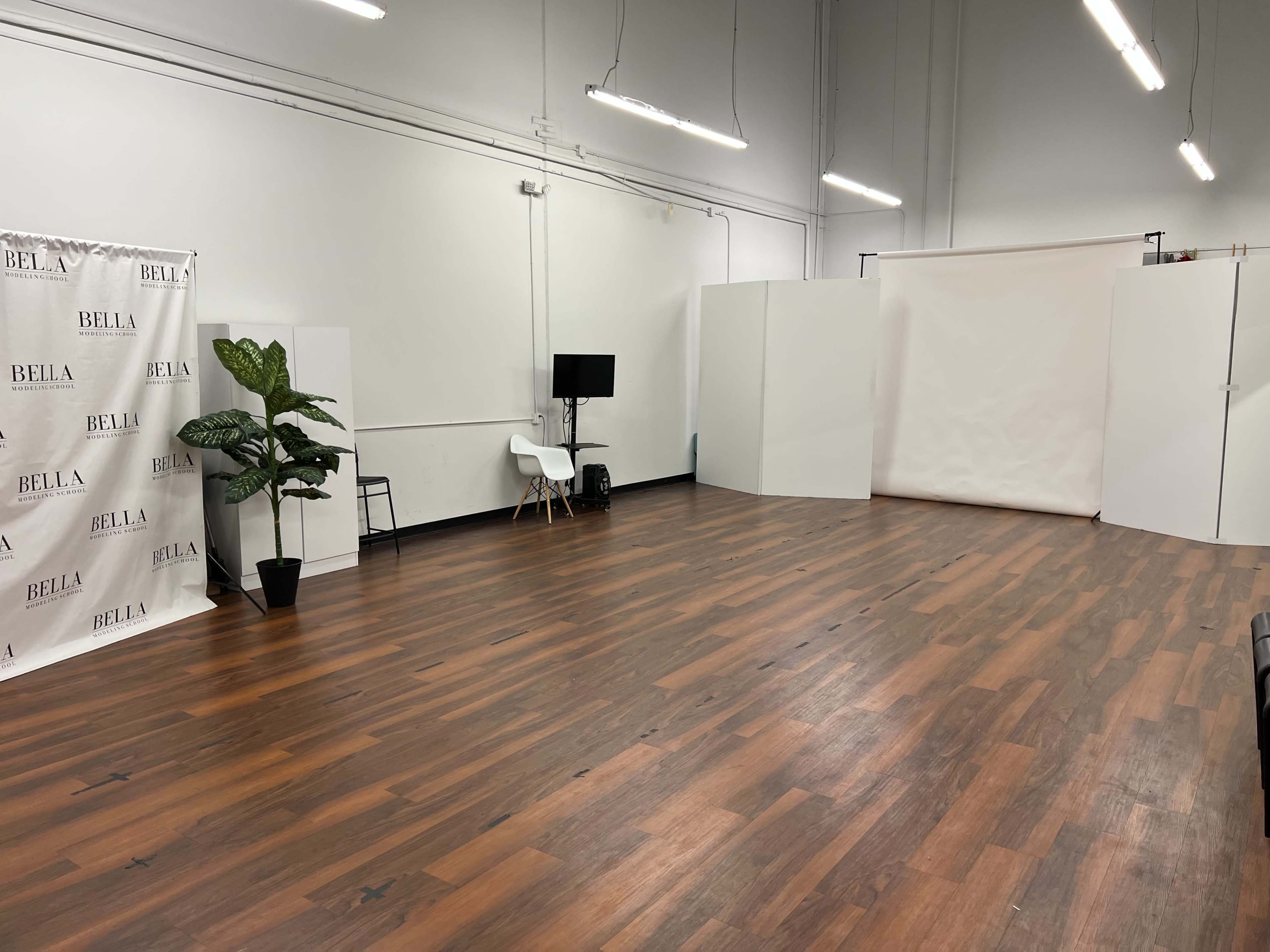 An empty studio space featuring wooden flooring, a backdrop area with white panels, a potted plant, and minimal furniture including a chair and a TV.