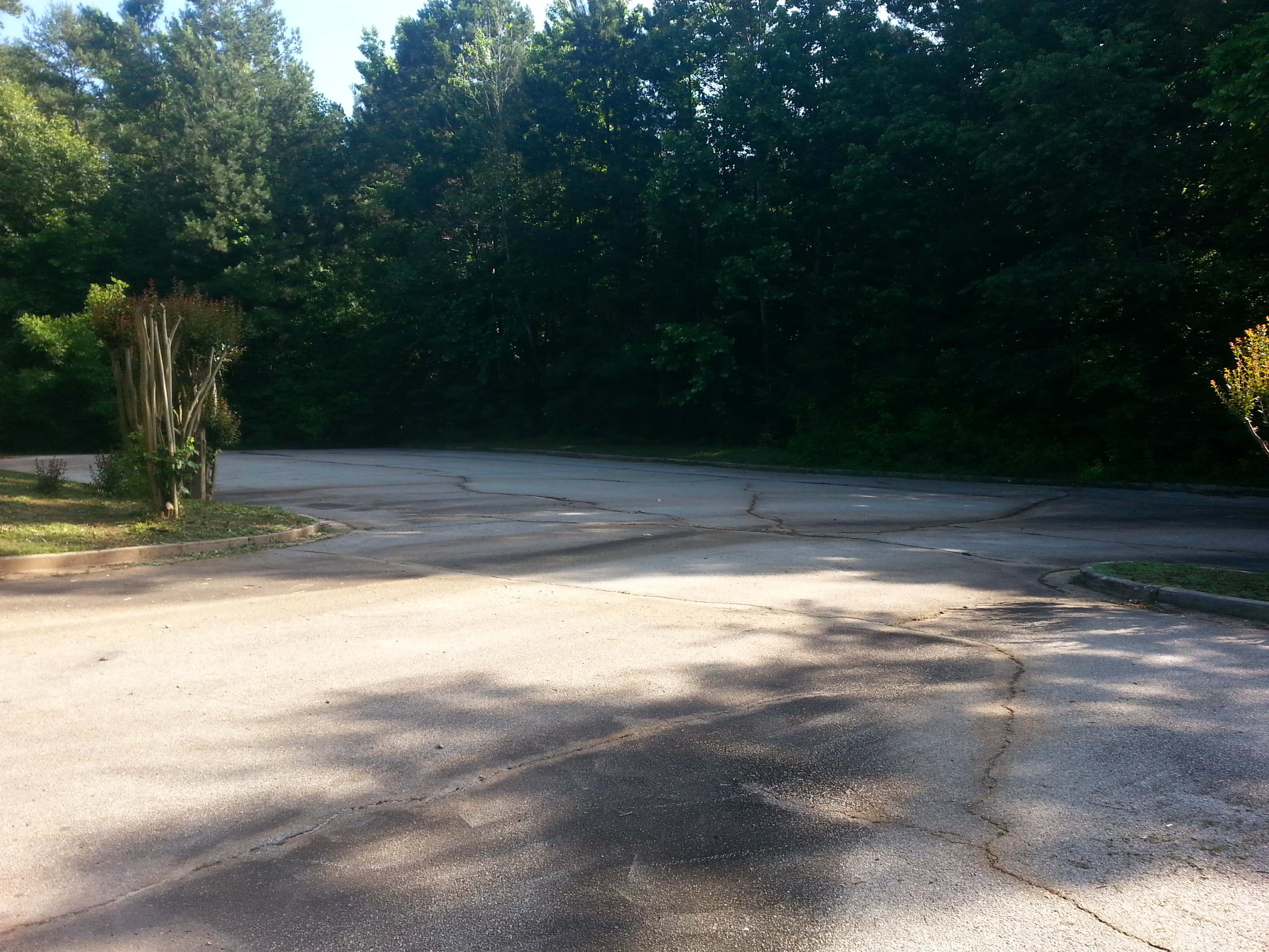 A cracked asphalt road curves through a wooded area.