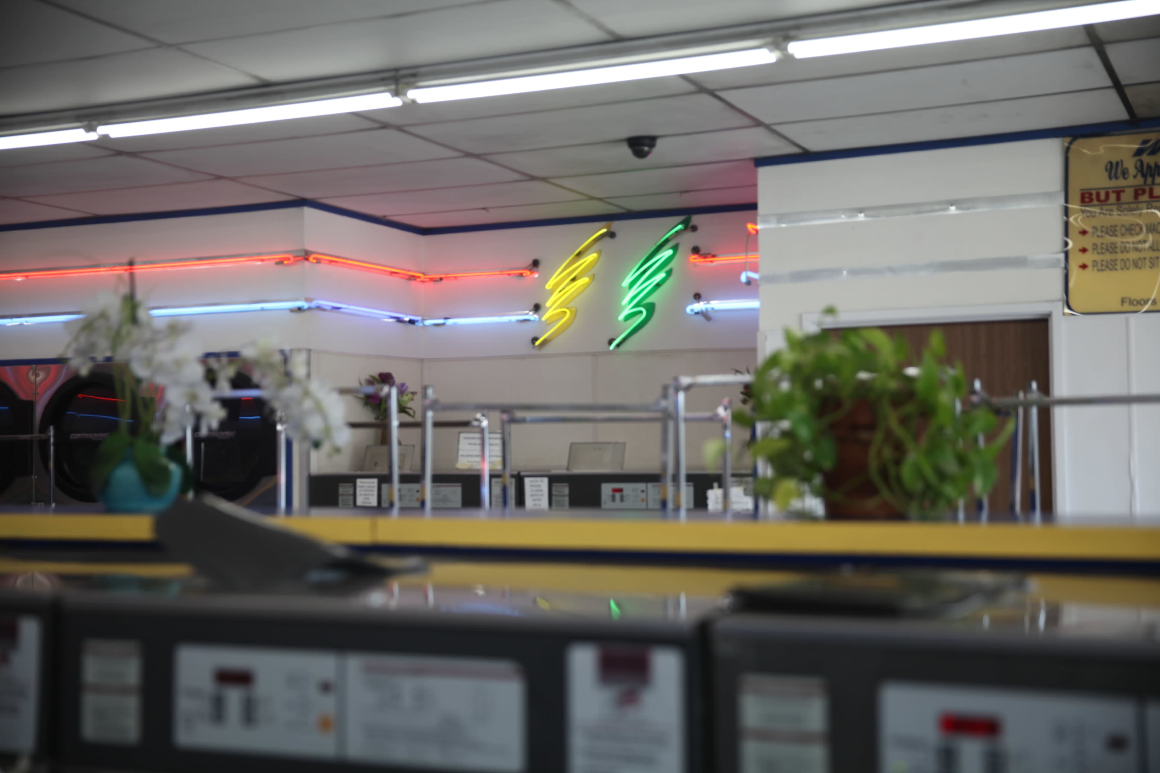 The image shows a brightly lit laundromat featuring neon signs and potted plants in the foreground.