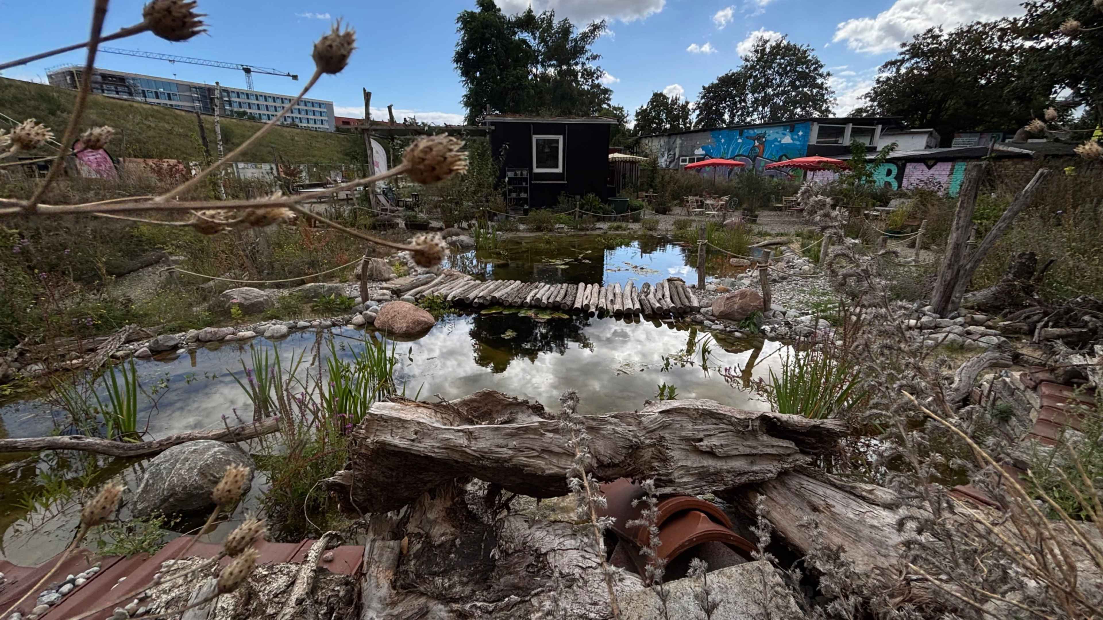 Grüne Oase mit Teich im urbanen Raum direkt neben dem Bahnhof Ostkreuz Image in Friedrichshain, Berlin