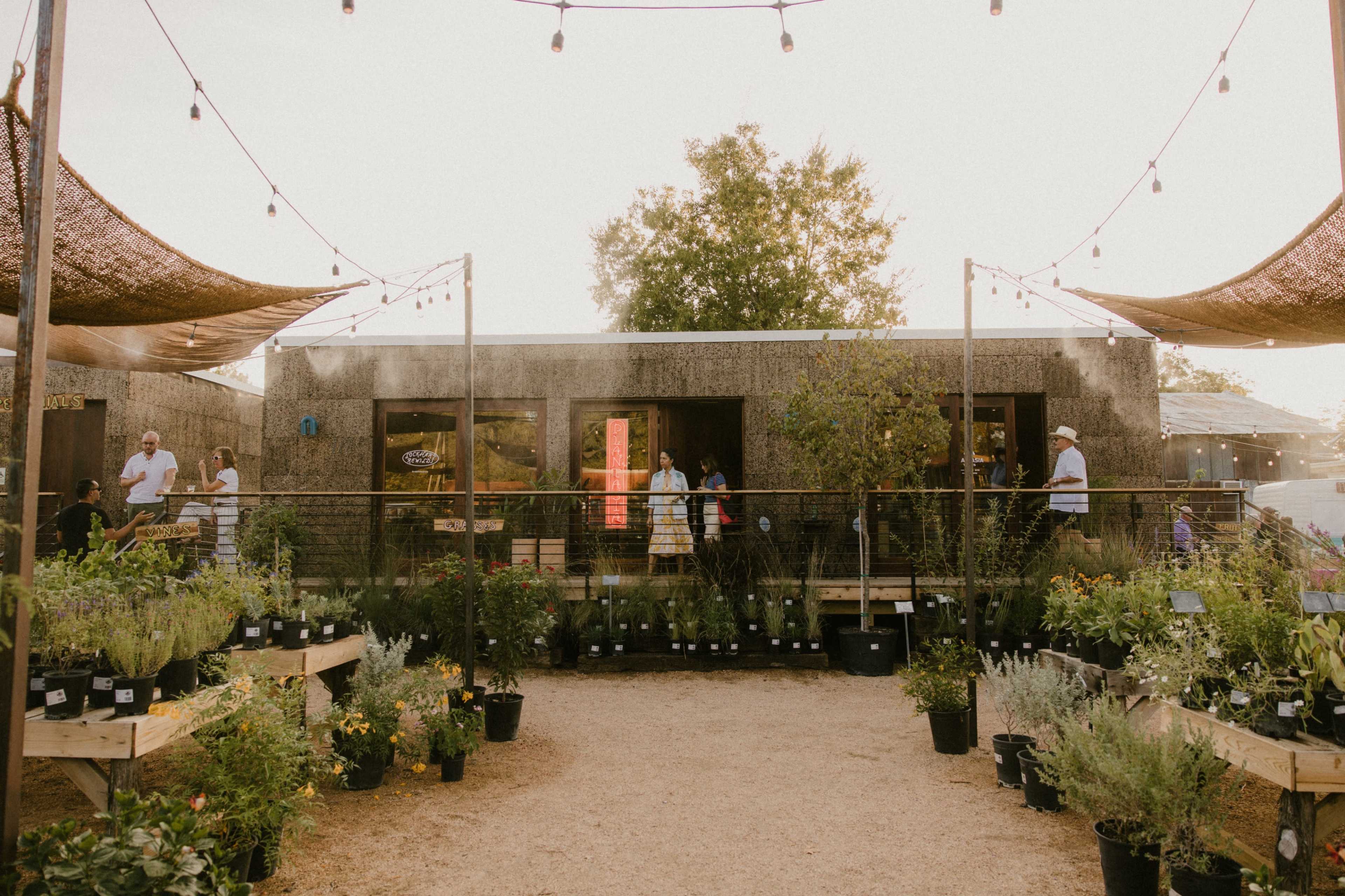 A vibrant outdoor market features potted plants arranged on wooden displays, with people mingling near a modern building in the background.