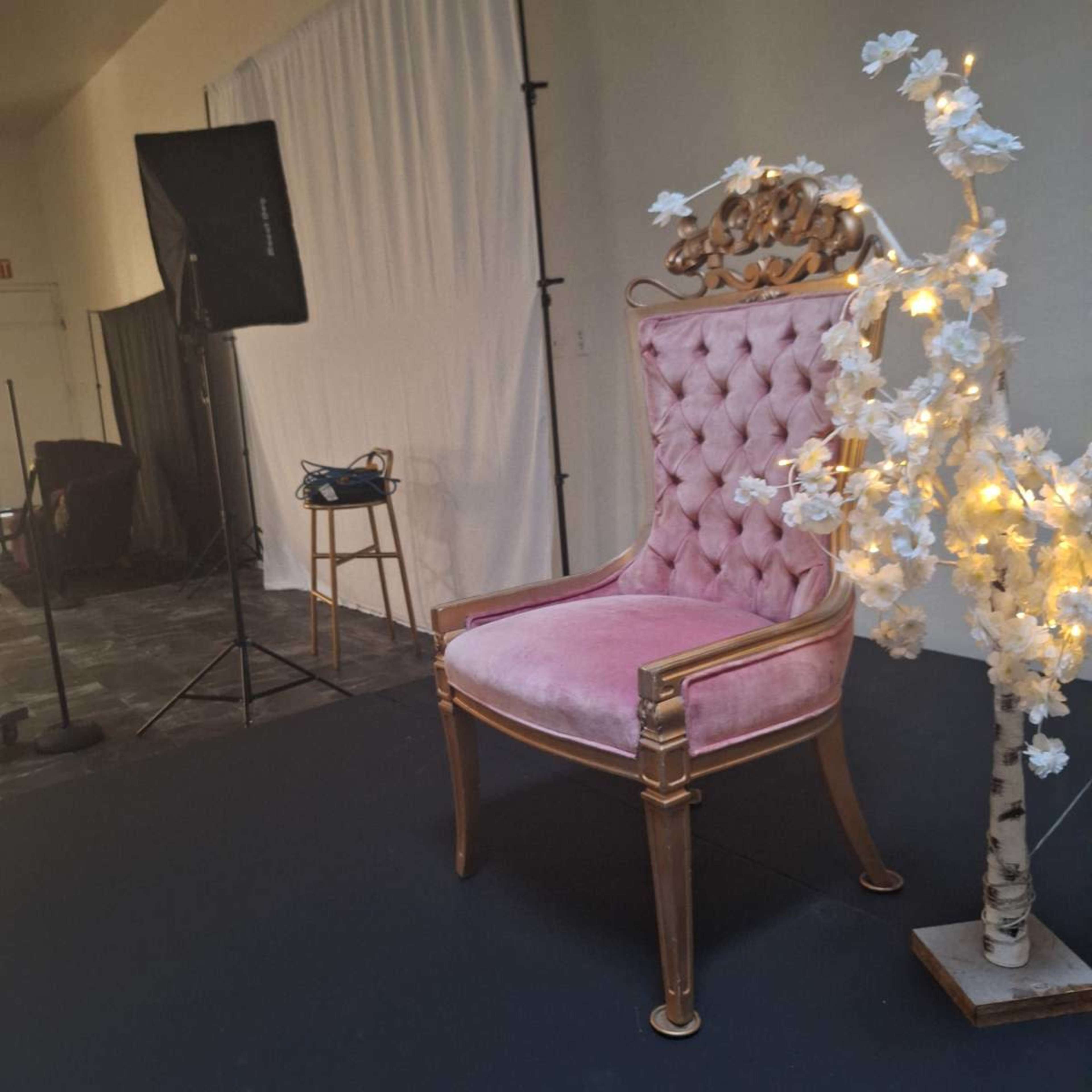 A pink tufted chair with ornate golden details is positioned beside a decorative tree with white flowers and lights in a studio setting.