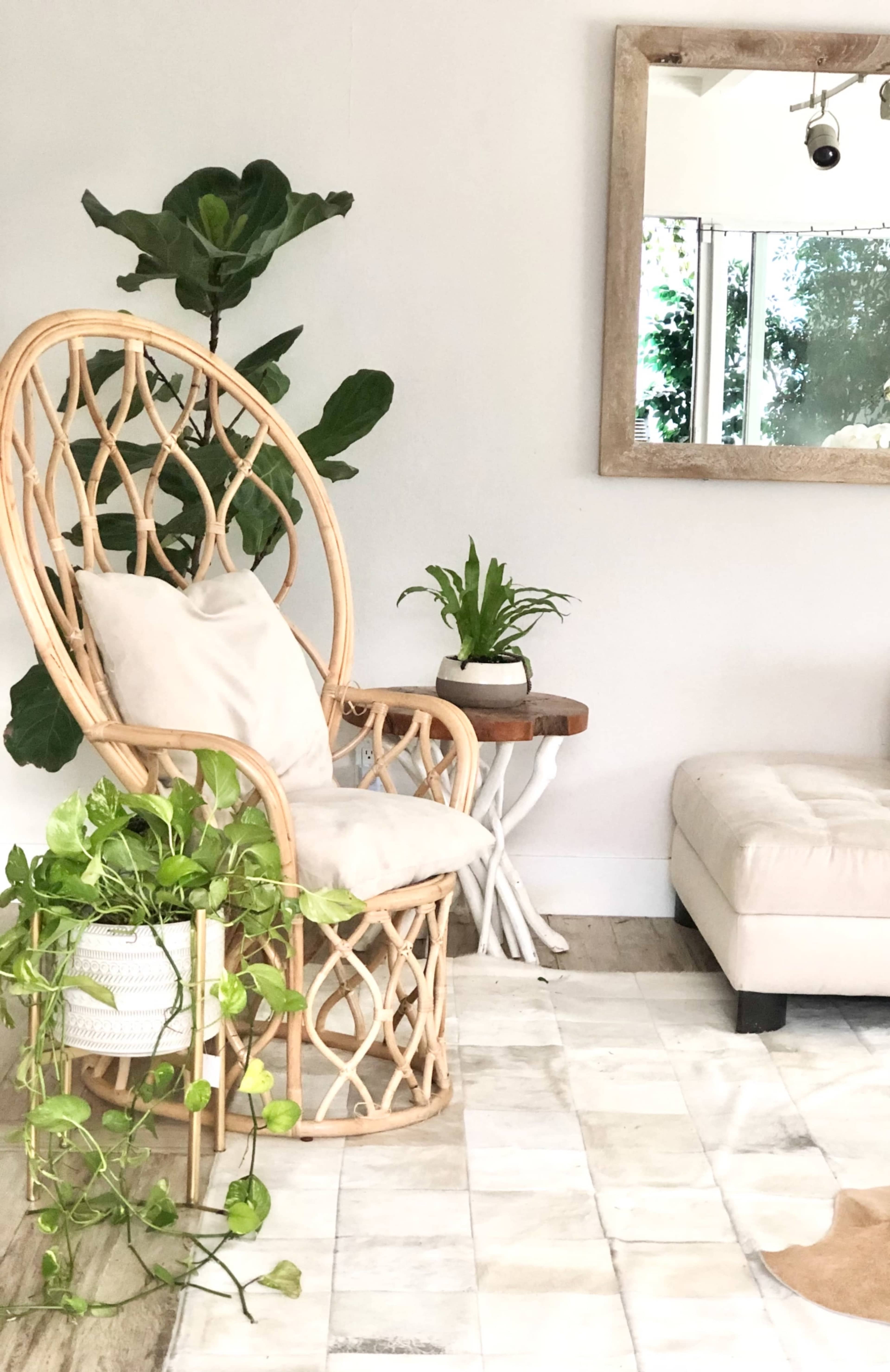 A rattan chair next to a small wooden table, with indoor plants and a mirror reflected in a light-colored room.