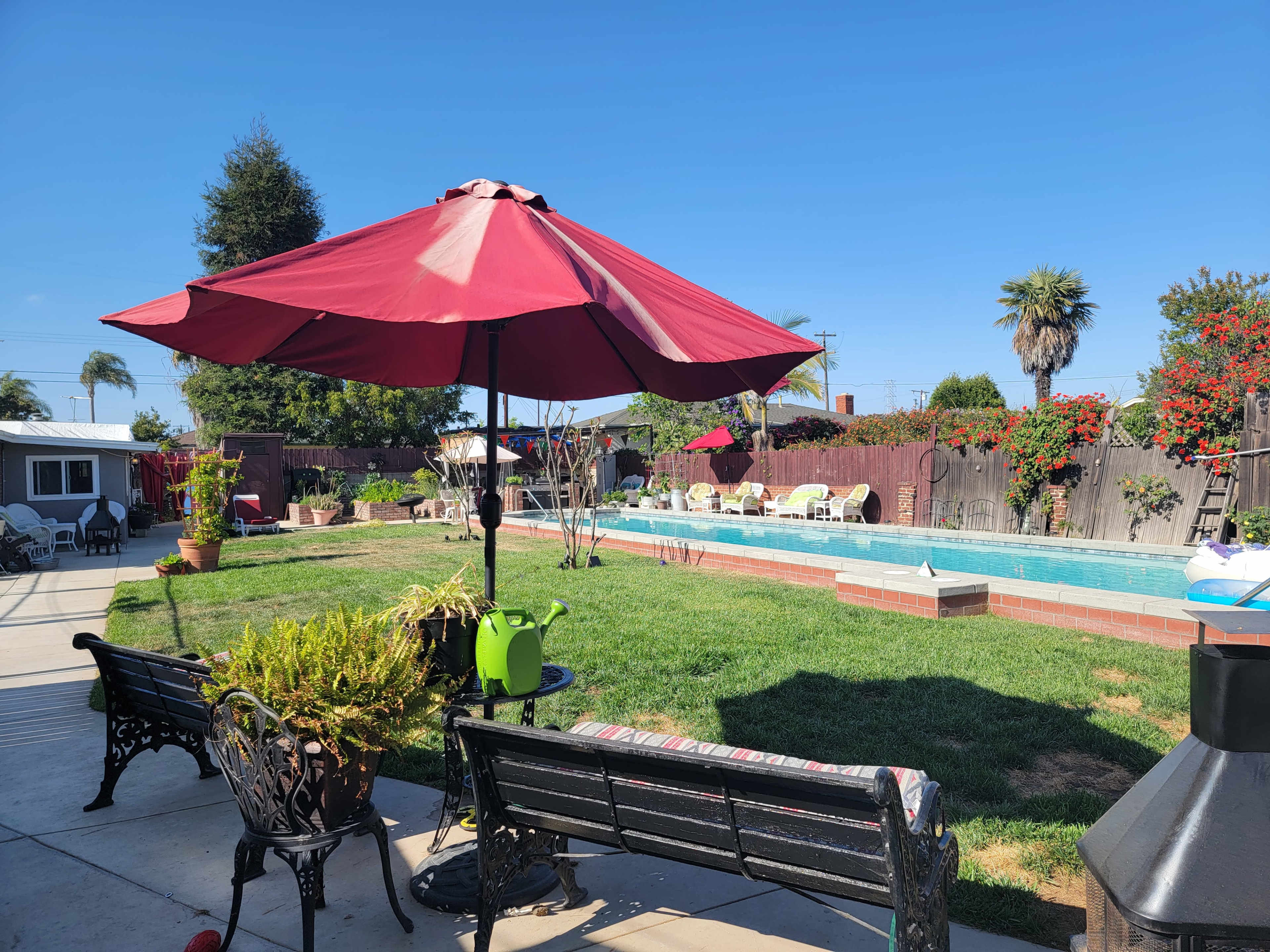 A backyard scene features a pool surrounded by chairs and umbrellas, with a grassy area and palm trees in the background.