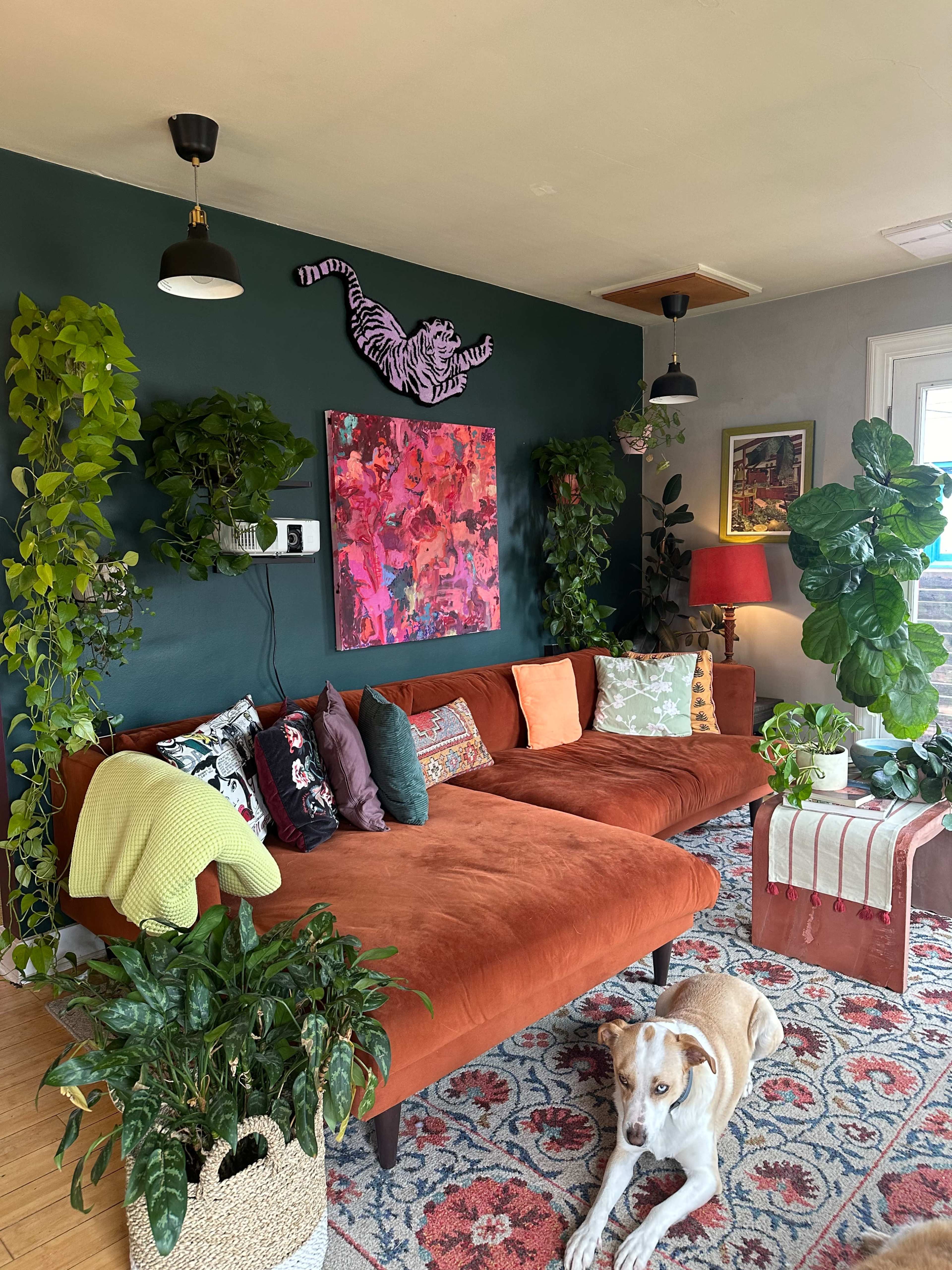 A cozy living room features a large orange sofa adorned with colorful pillows, surrounded by various indoor plants, a decorative wall art piece, and a dog resting on the floor.