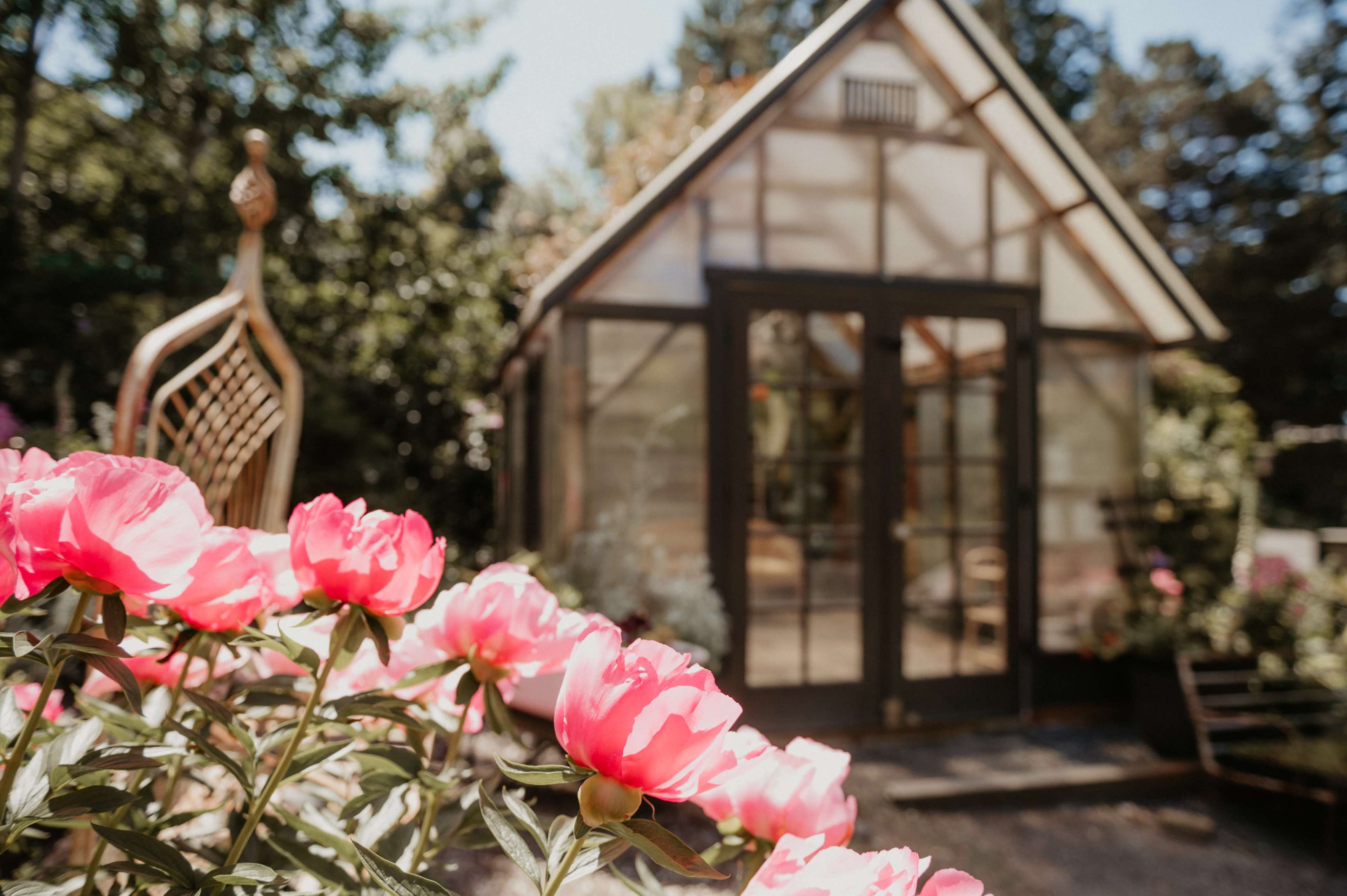 A glass greenhouse is visible in the background, surrounded by blooming pink flowers in the foreground.