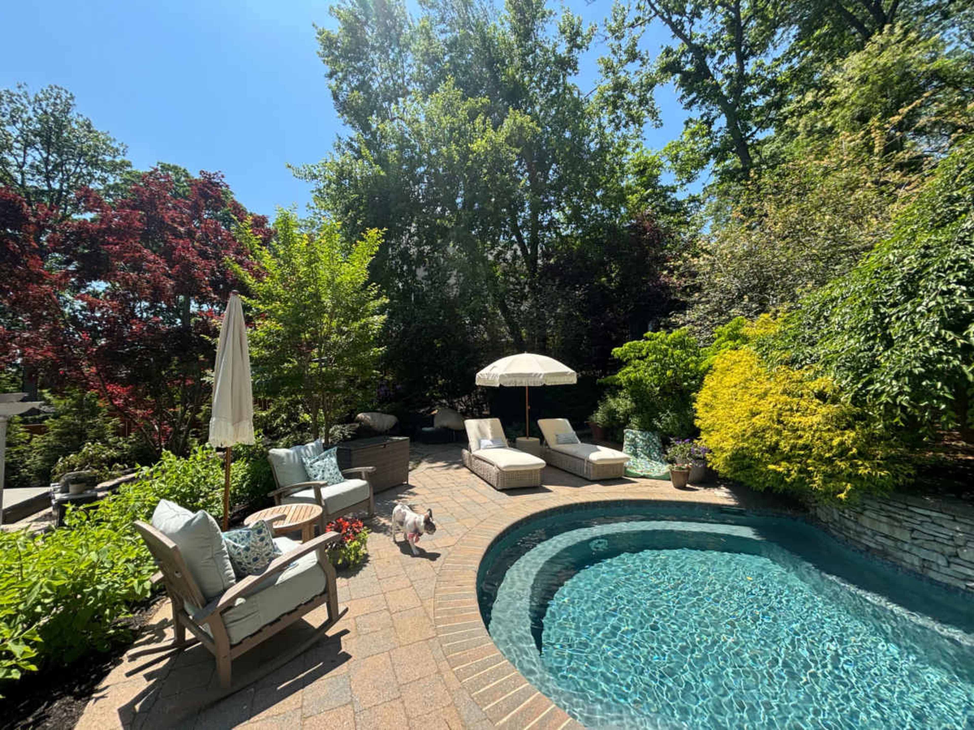 The image shows a residential backyard with a small pool surrounded by lounge chairs, an umbrella, and various green plants.