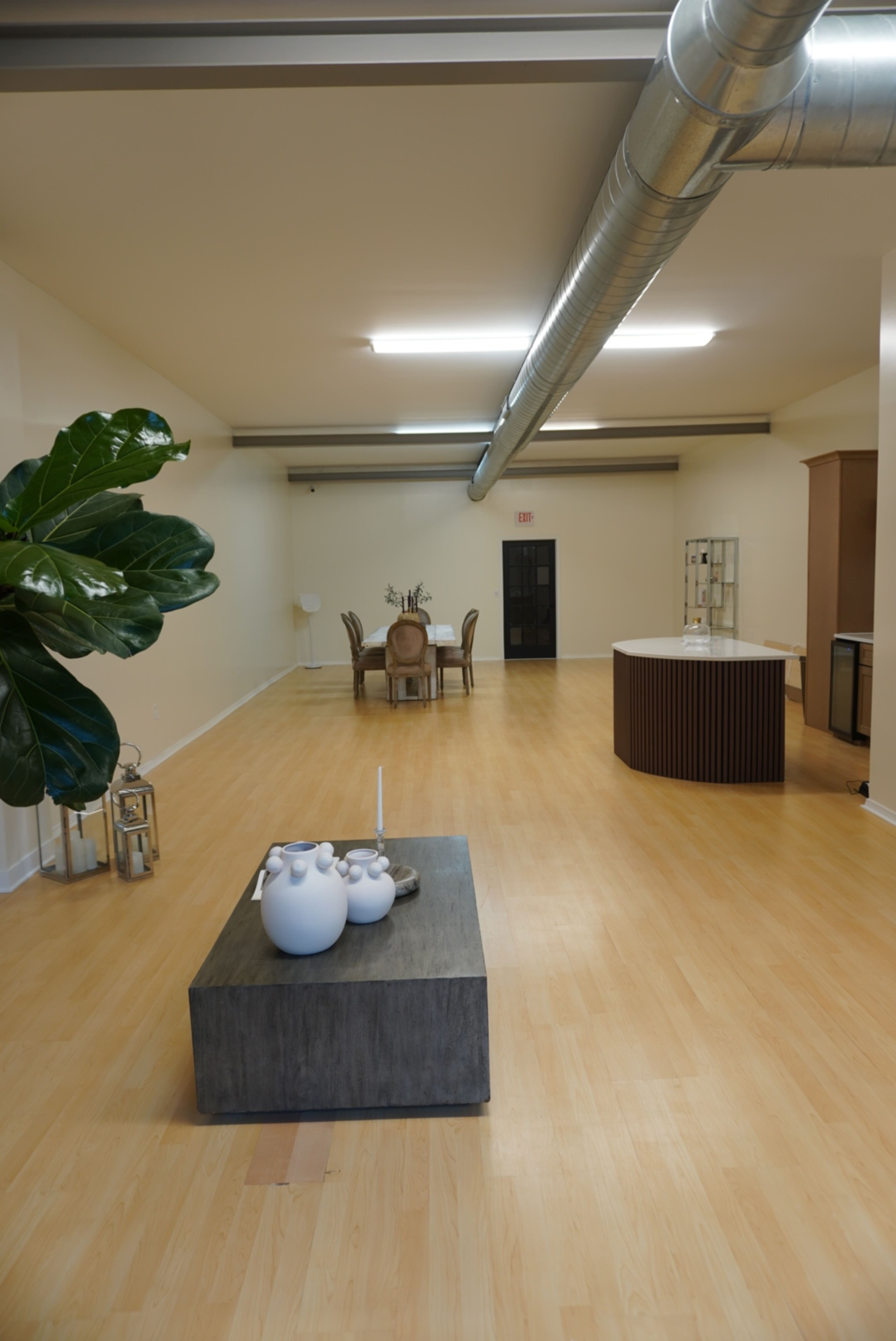 The image shows a spacious, well-lit interior featuring a dining table surrounded by chairs, a large decorative plant, and a central coffee table with decorative items on it.