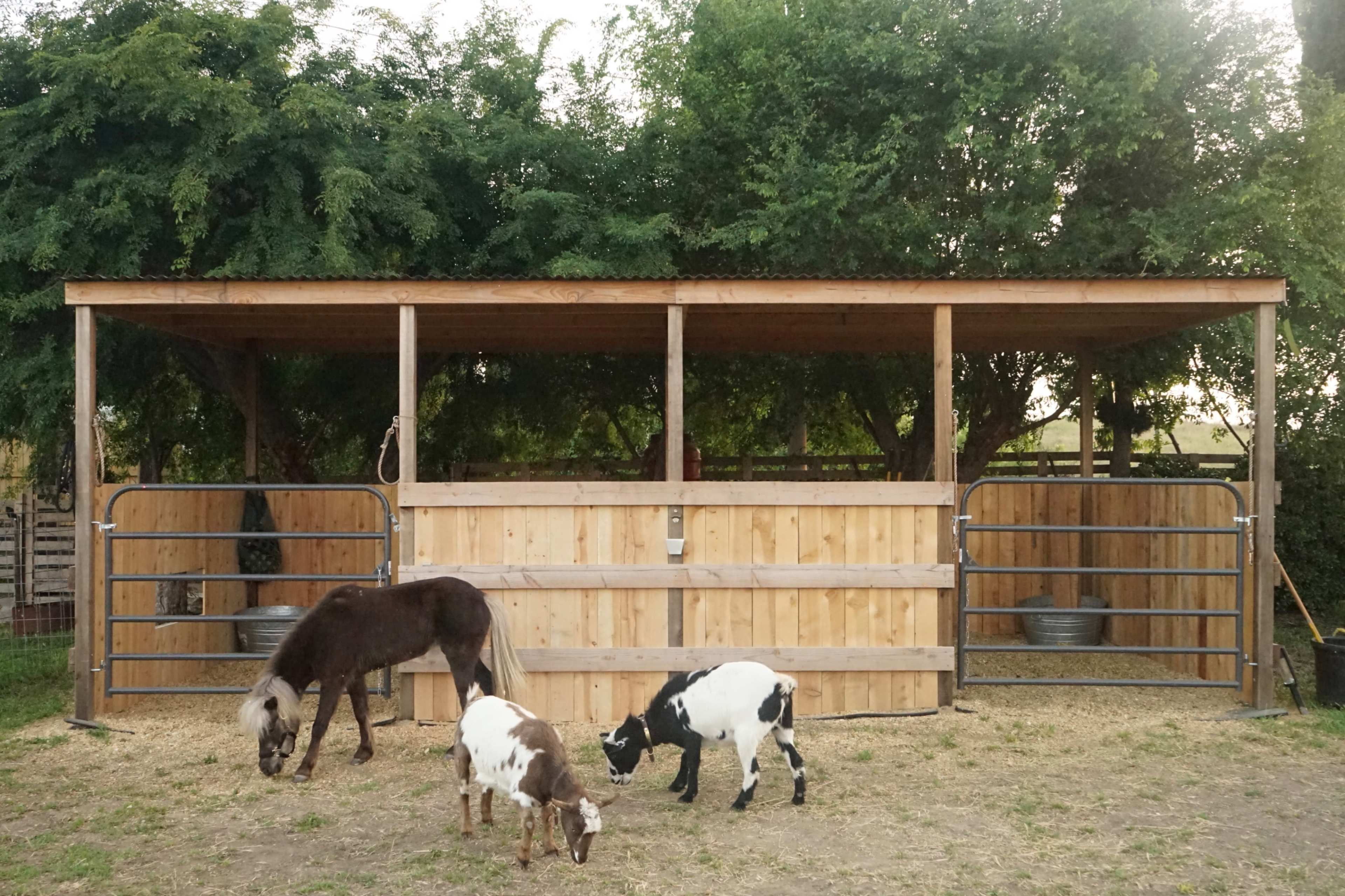 A wooden barn with a slanted roof stands amidst trees, while a horse and two goats graze in the enclosed area in front.