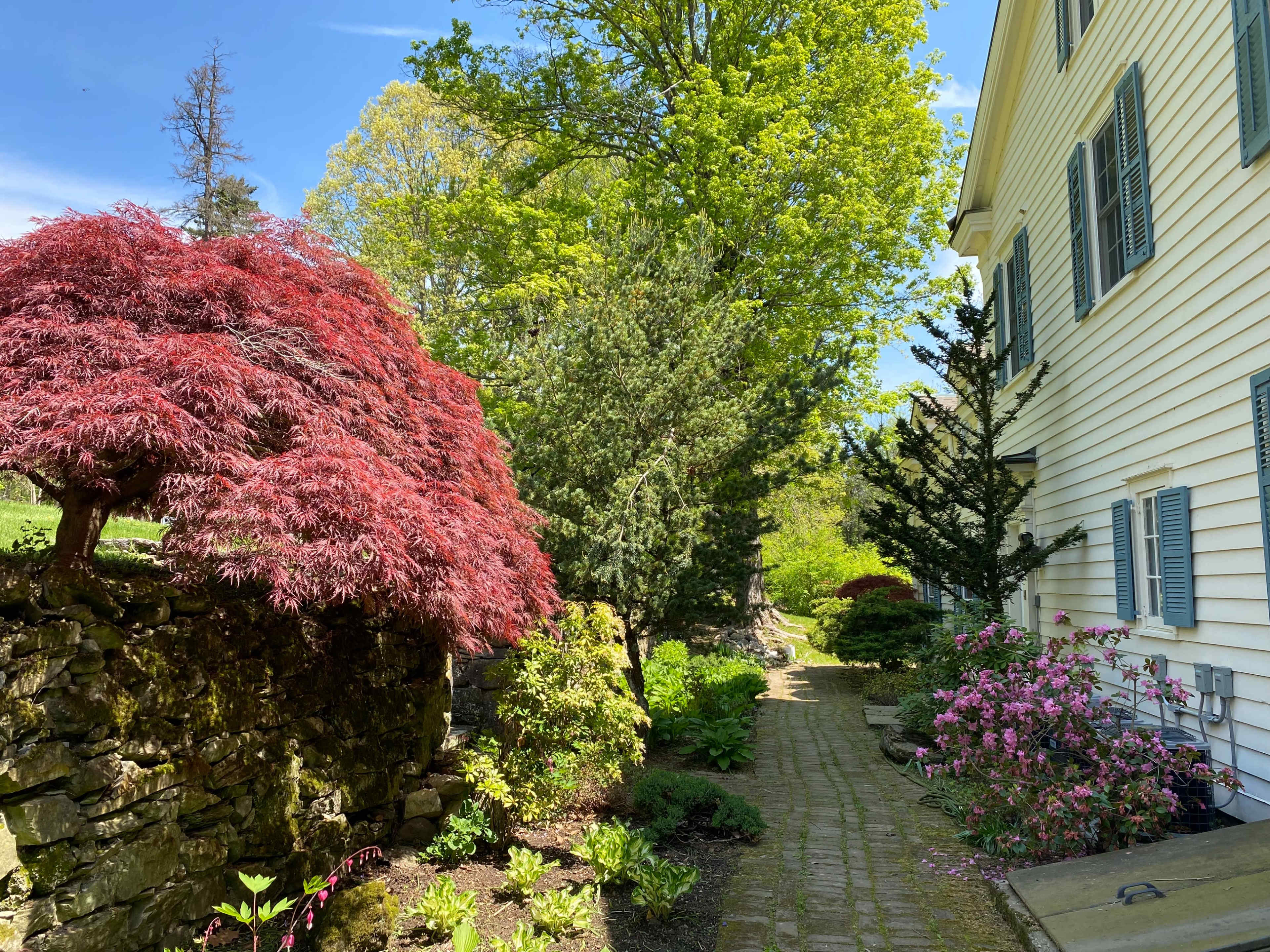 The image shows a pathway lined with colorful plants and trees alongside a white house.