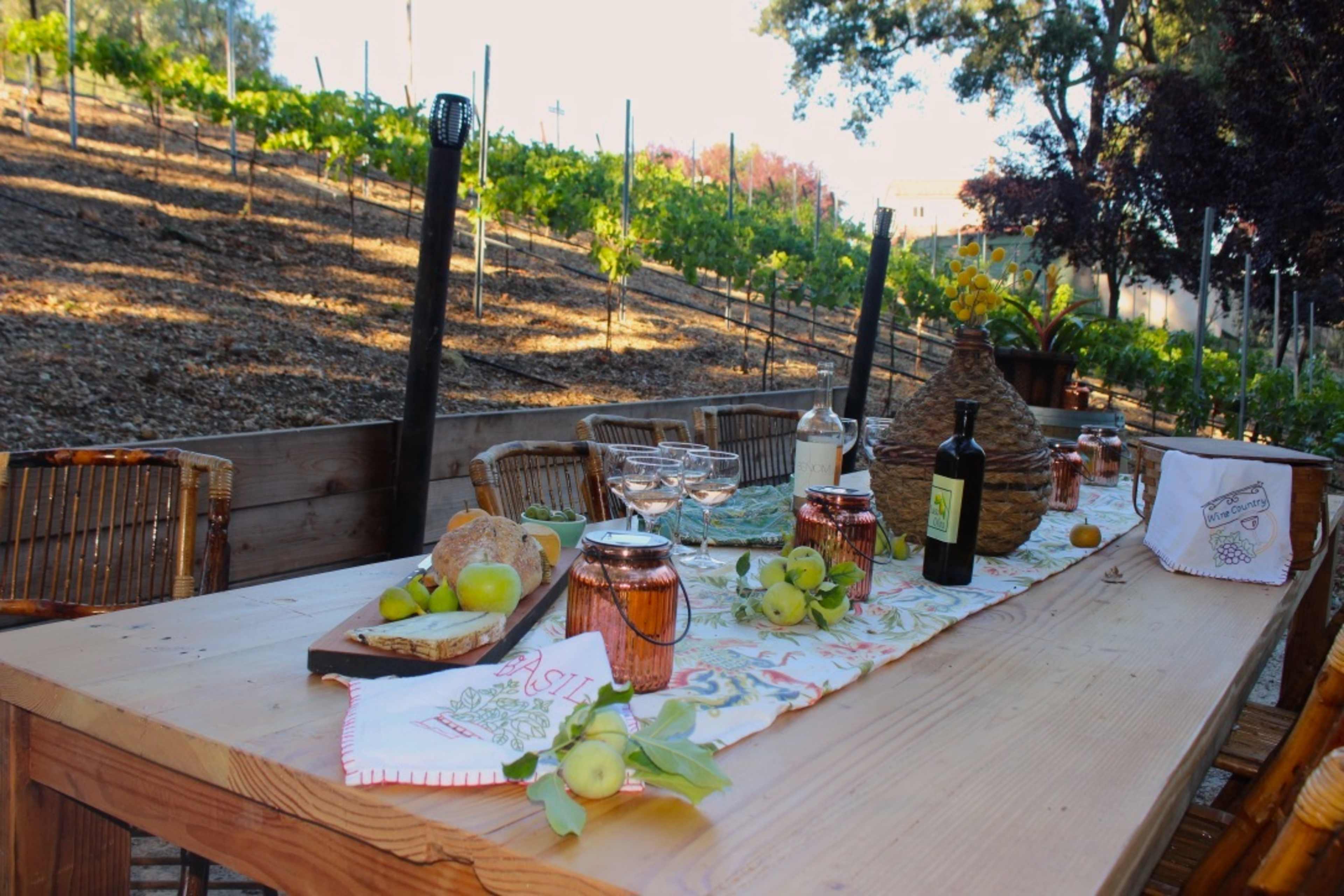A rustic wooden table is set with food and drinks, surrounded by a vineyard on a hillside.