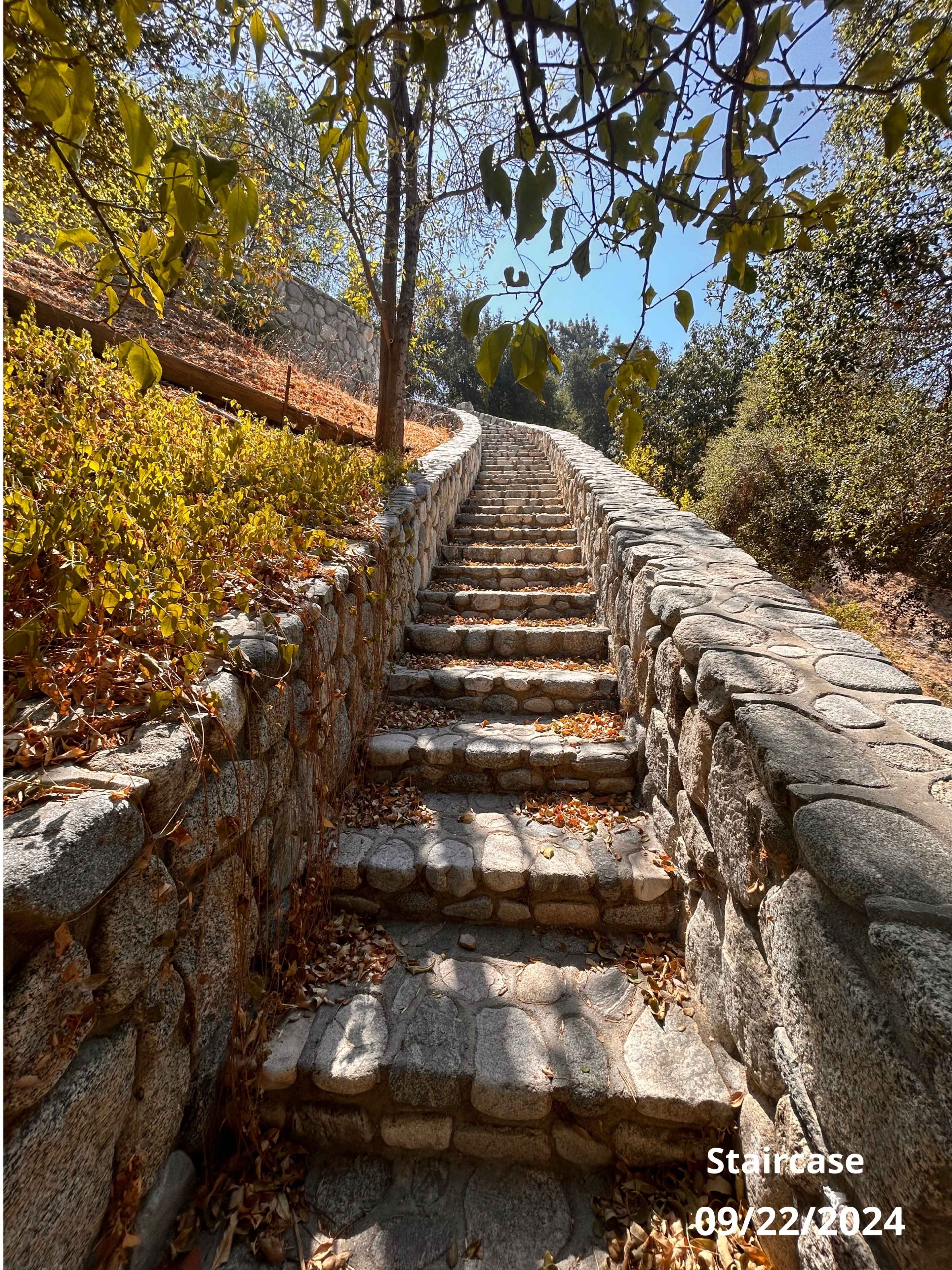 Secluded home on 4 1/2 acres surrounded by nature. Image in Sunland, sunland, CA