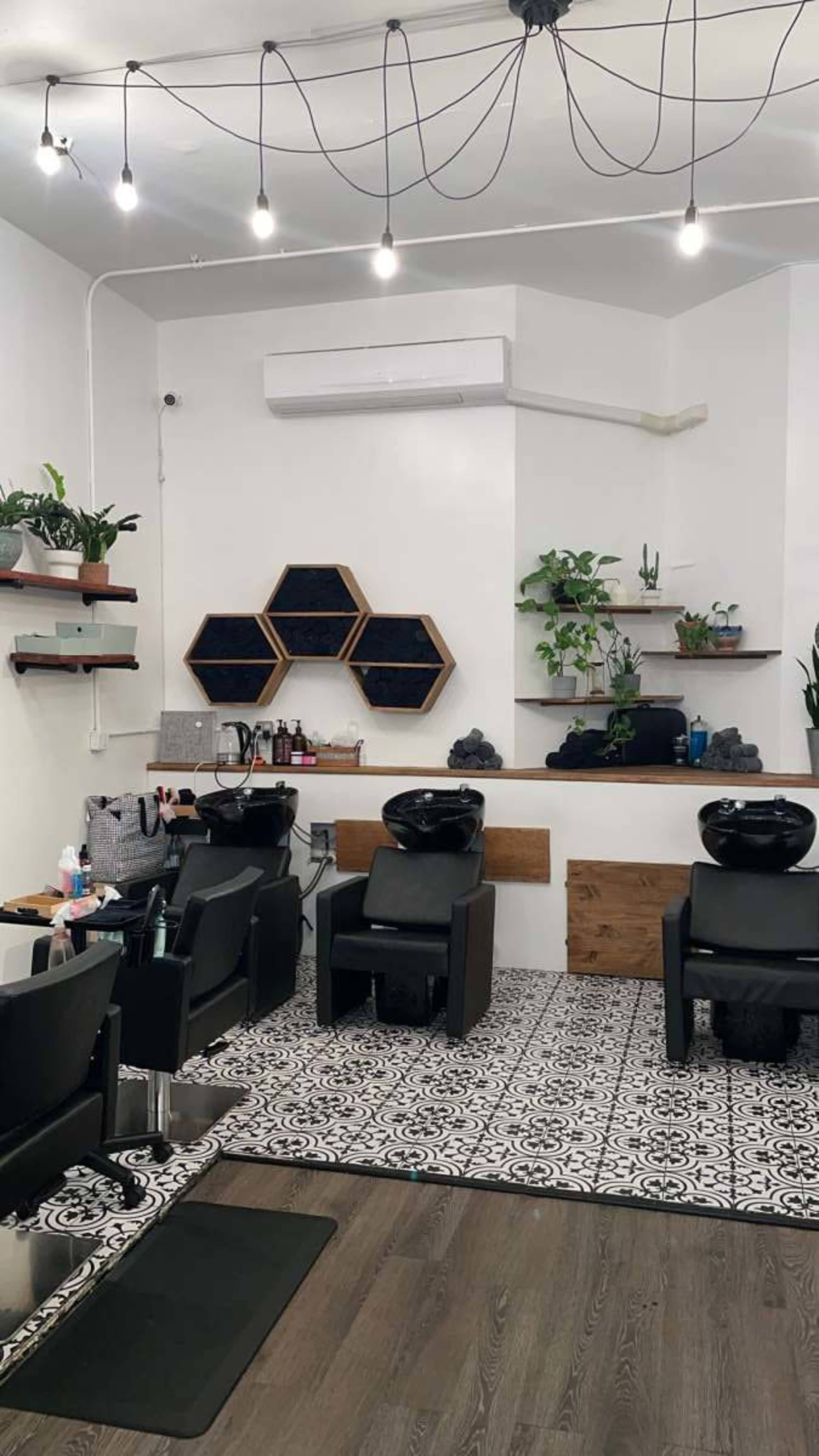 The image shows the interior of a salon featuring styling chairs, shampoo bowls, shelves with plants, and a decorative wall.