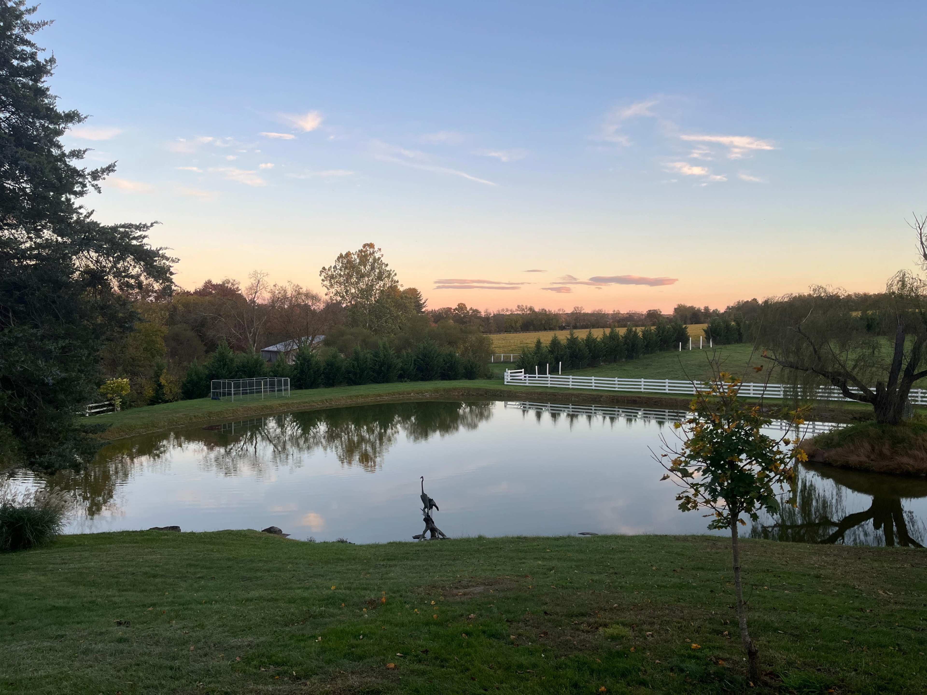 A calm pond reflects the sky at sunset, surrounded by green grass and lined with trees and a white fence.