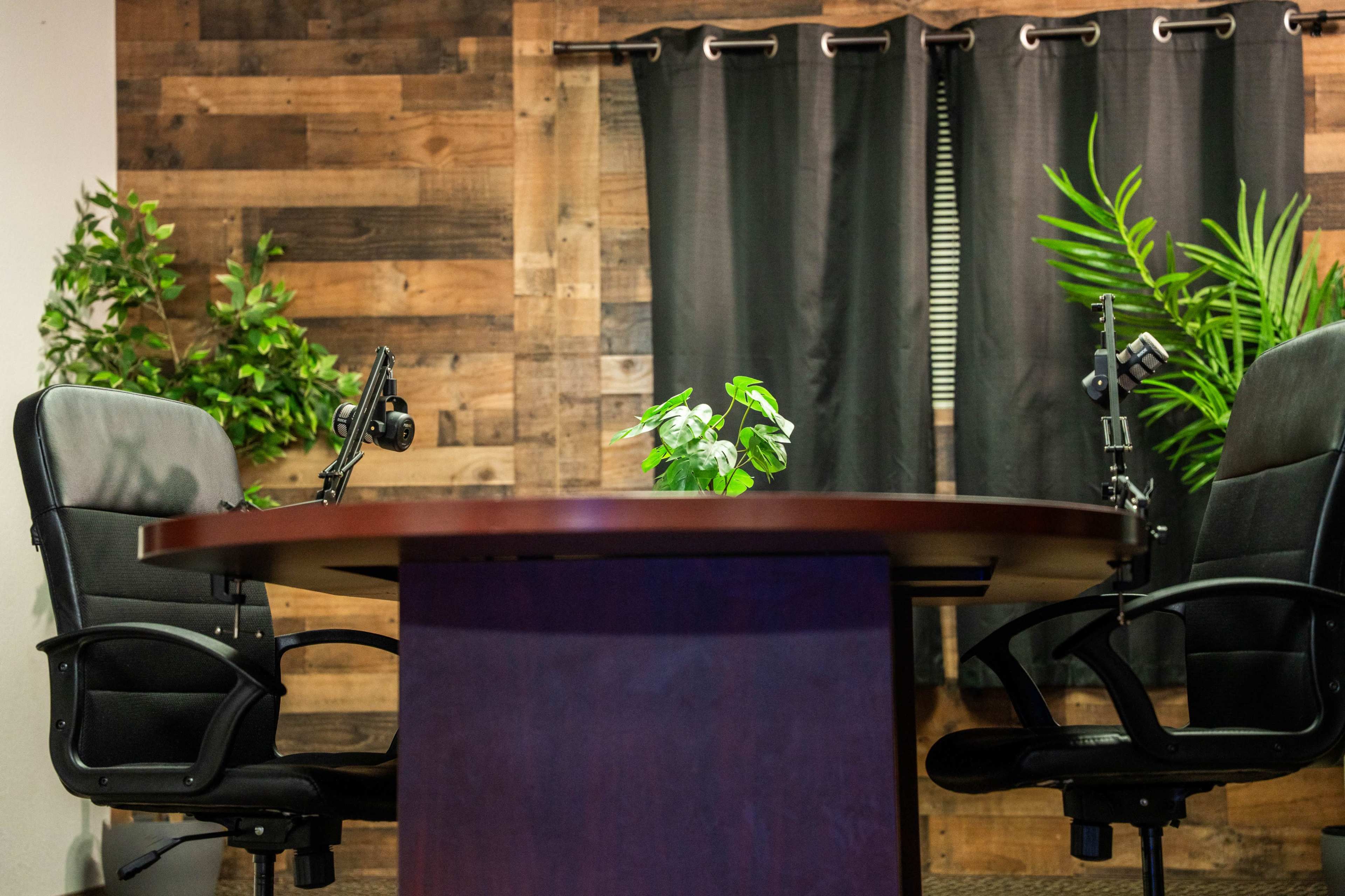 The image shows a small conference room table with two office chairs, a potted plant in the center, and dark curtains hanging in the background.
