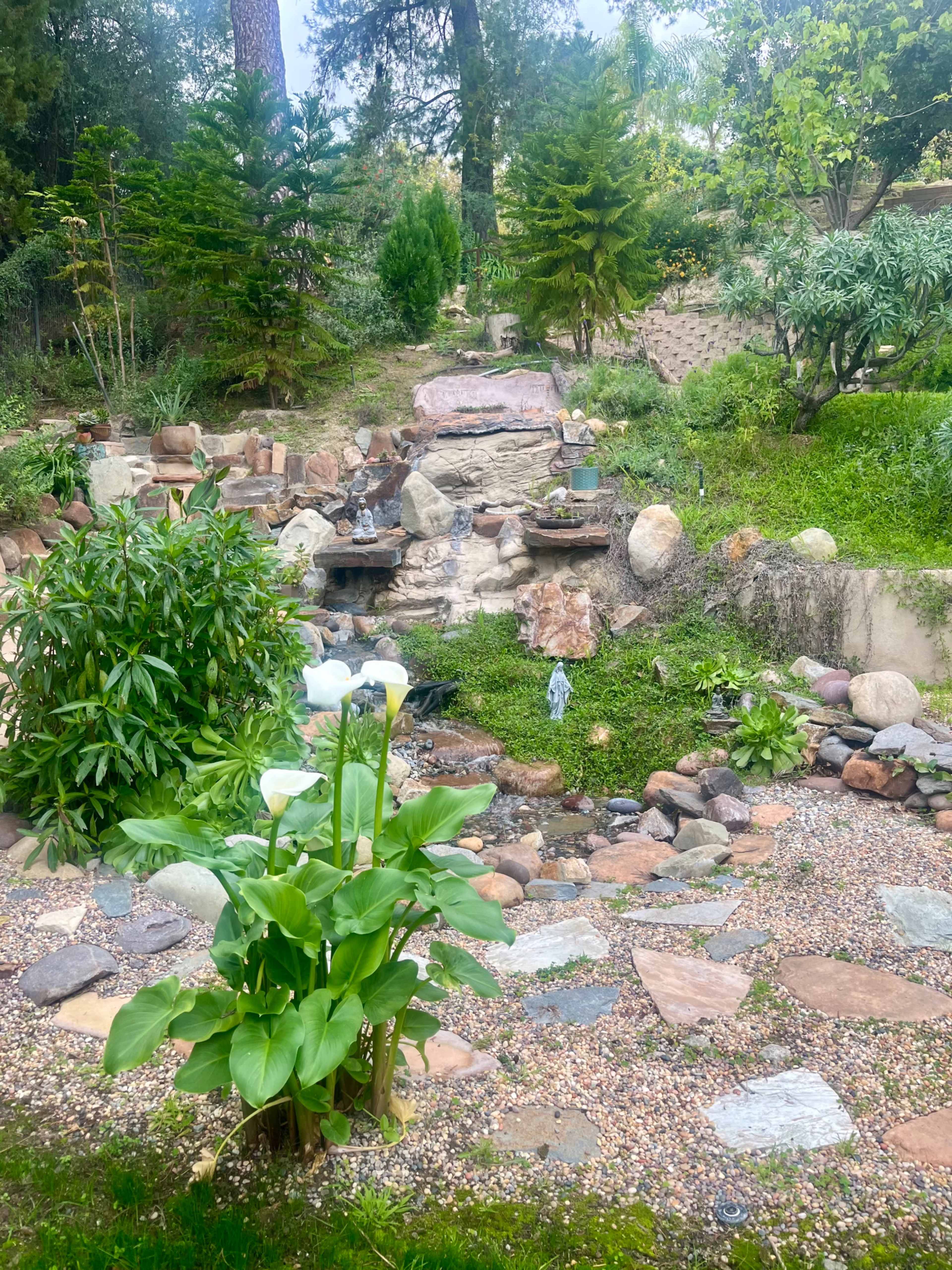 The image shows a landscaped garden featuring a small stone pathway, a cascading water feature, and various plants, including white flowers and greenery.