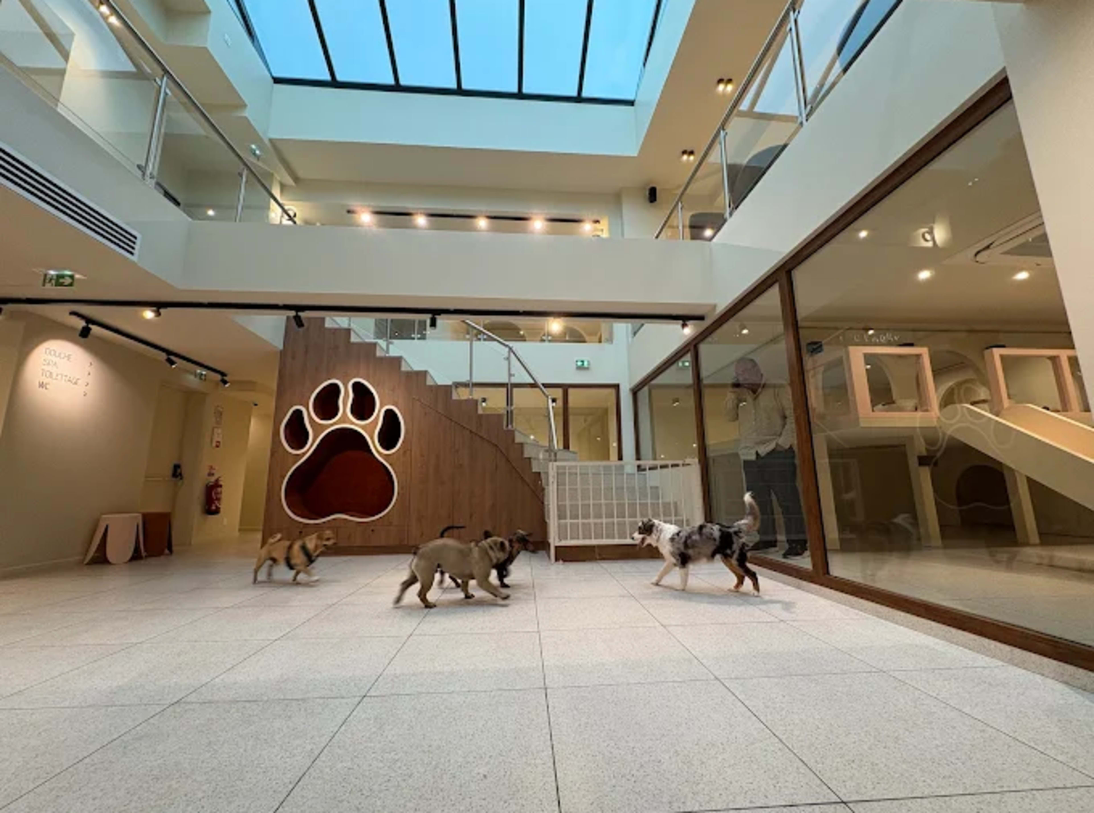 Lieu de vie Dog Friendly - Café de 200m2 et parc pour chien de 250m2  (piscine à balle, mûr de jouets, toboggan, niche géante) Image in Batignolles, Paris