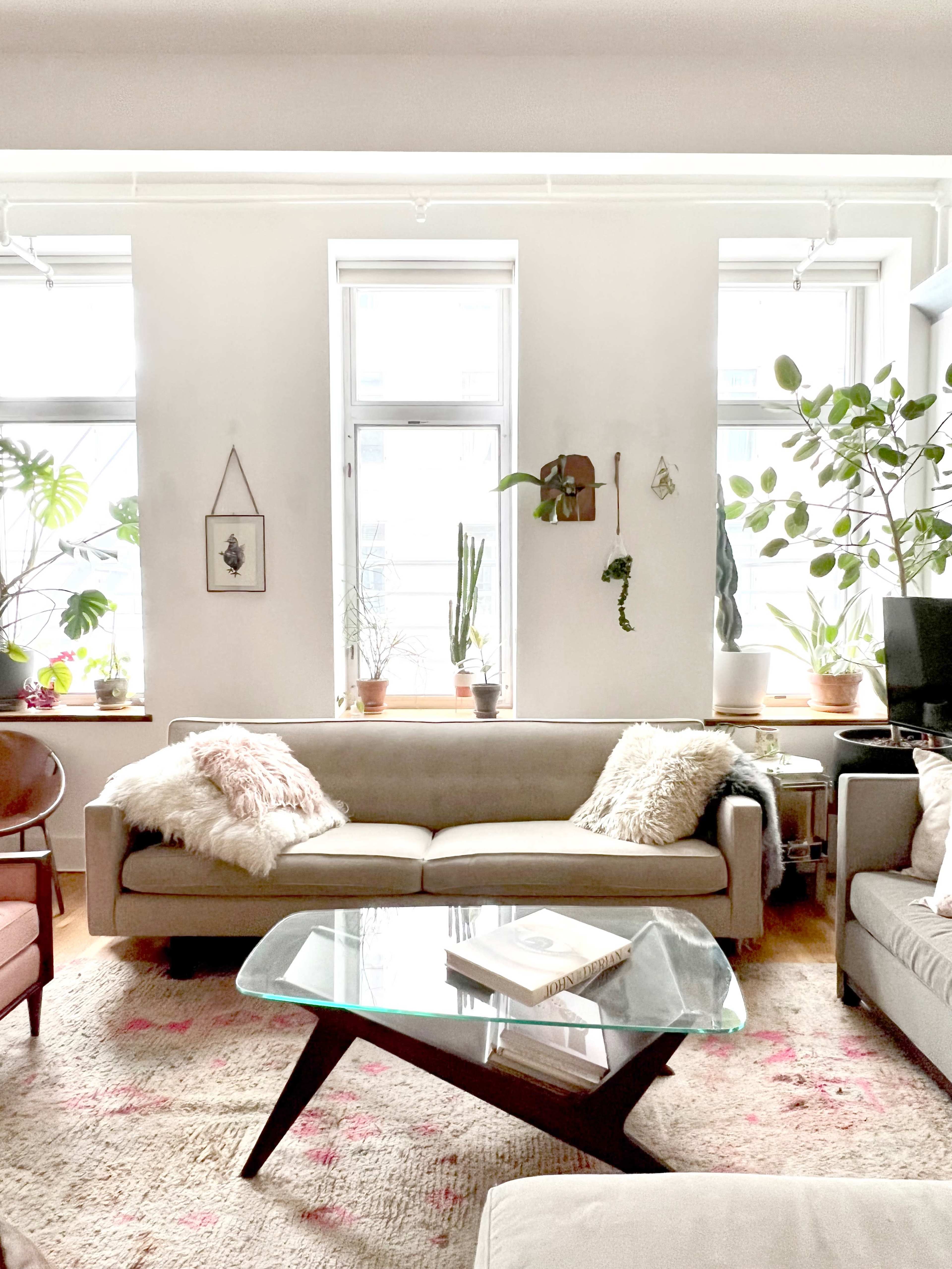 The living room features a light gray sofa and a glass coffee table, surrounded by potted plants and bright windows.