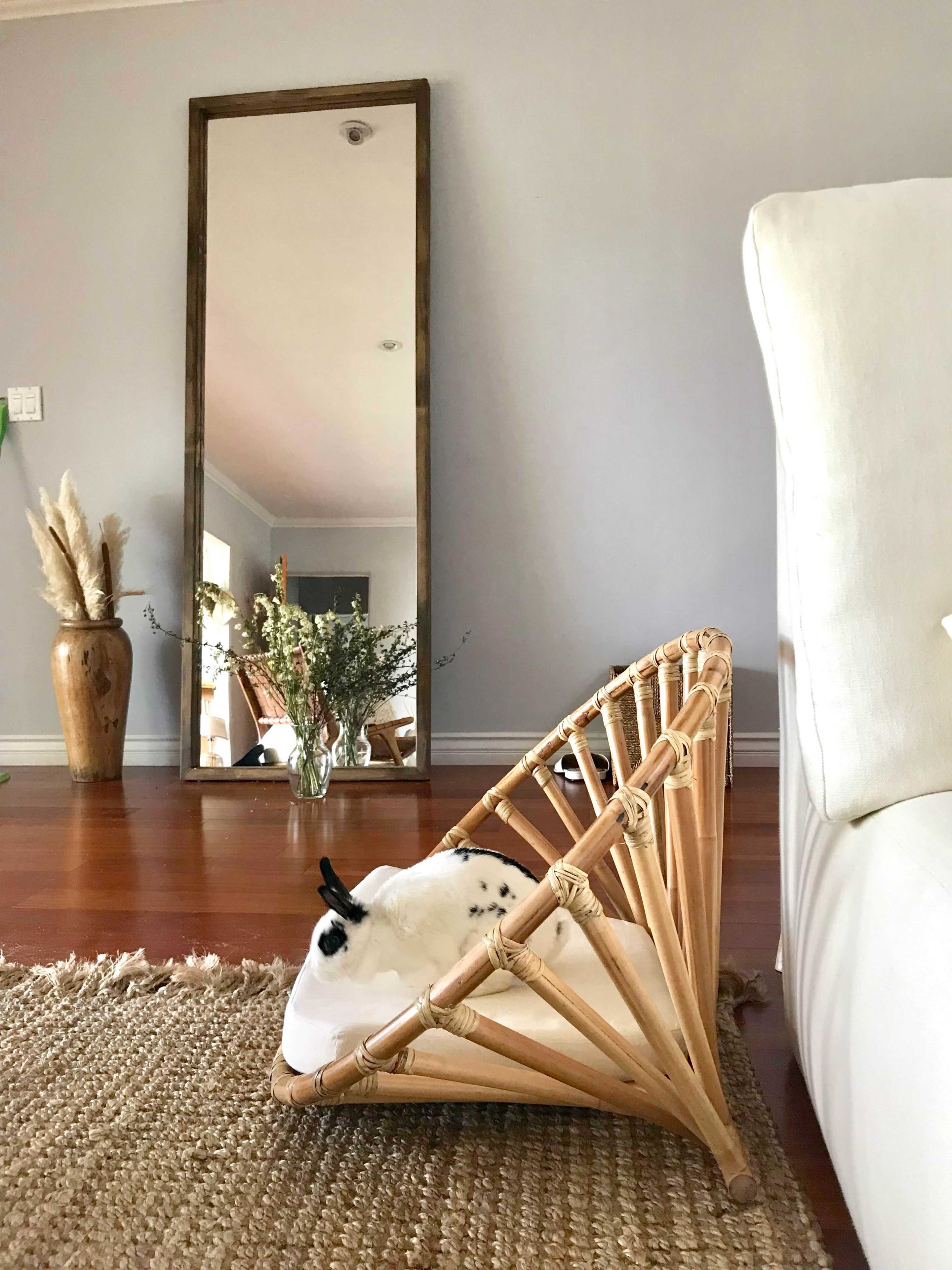 A rabbit relaxes on a wooden lounge chair in a living room with a large mirror and a vase of dried flowers.
