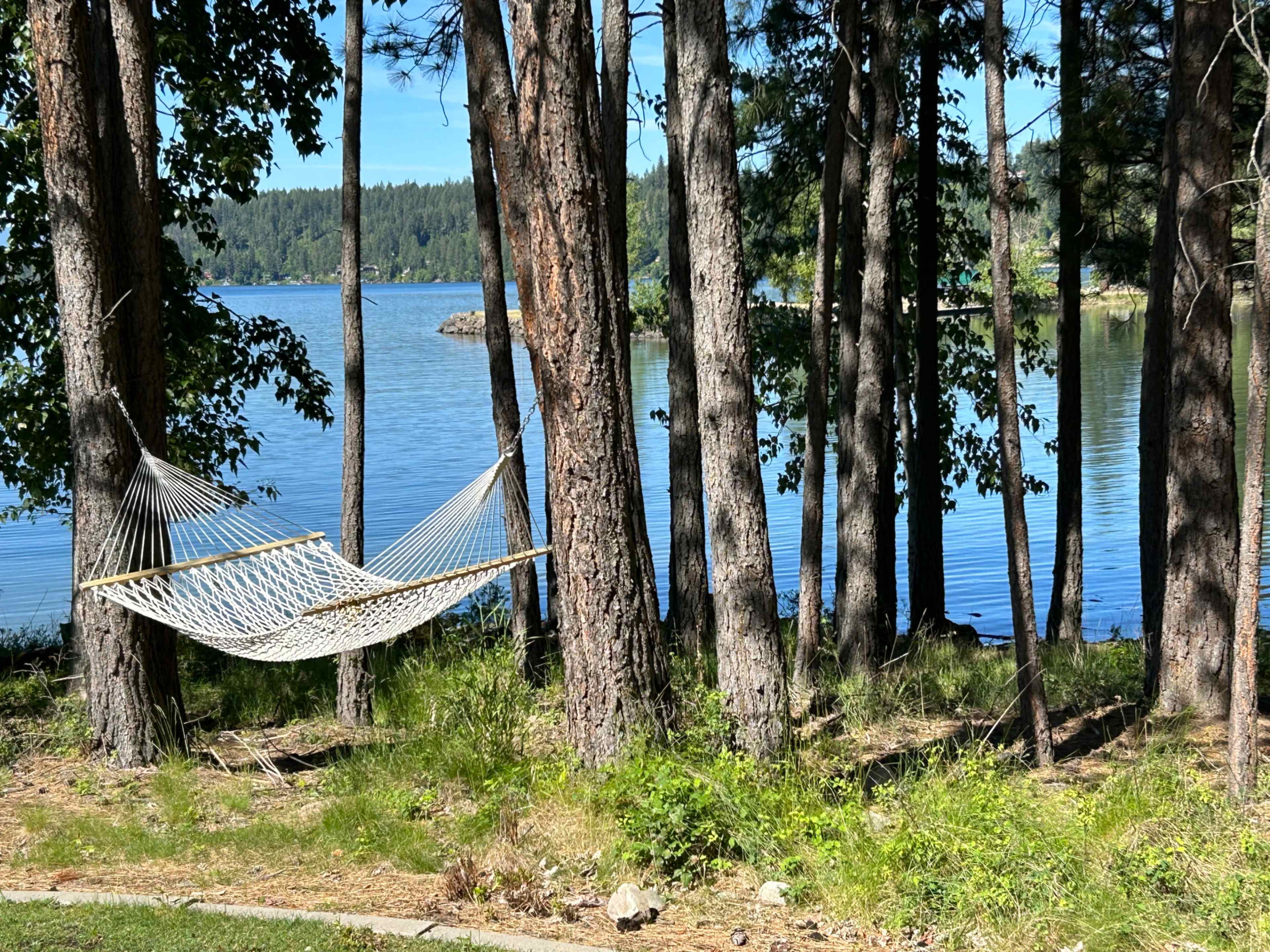 A hammock is suspended between two trees near a calm body of water surrounded by a forested area.