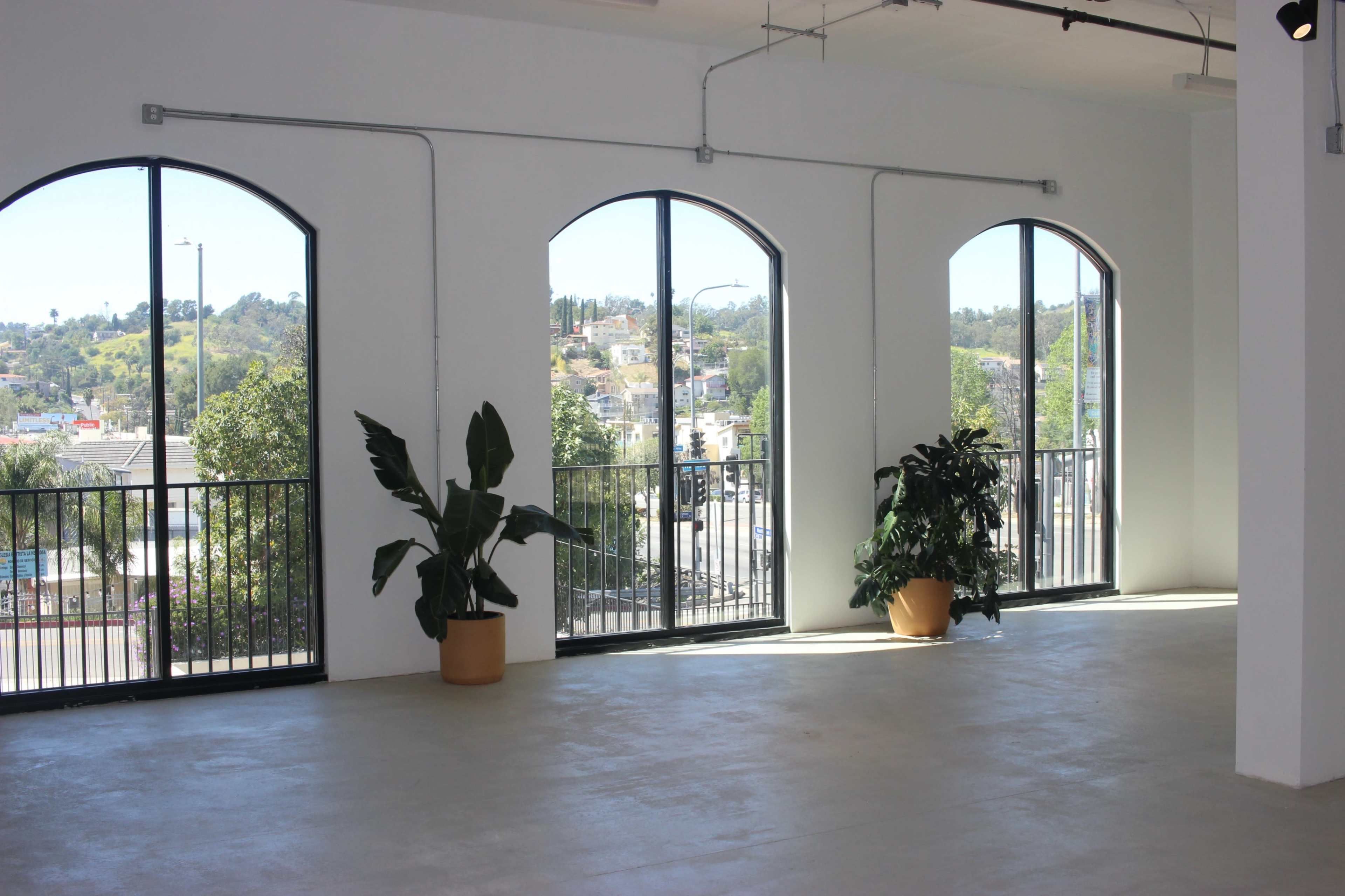 A bright, open room with large arched windows overlooking a hillside and two indoor plants in decorative pots.