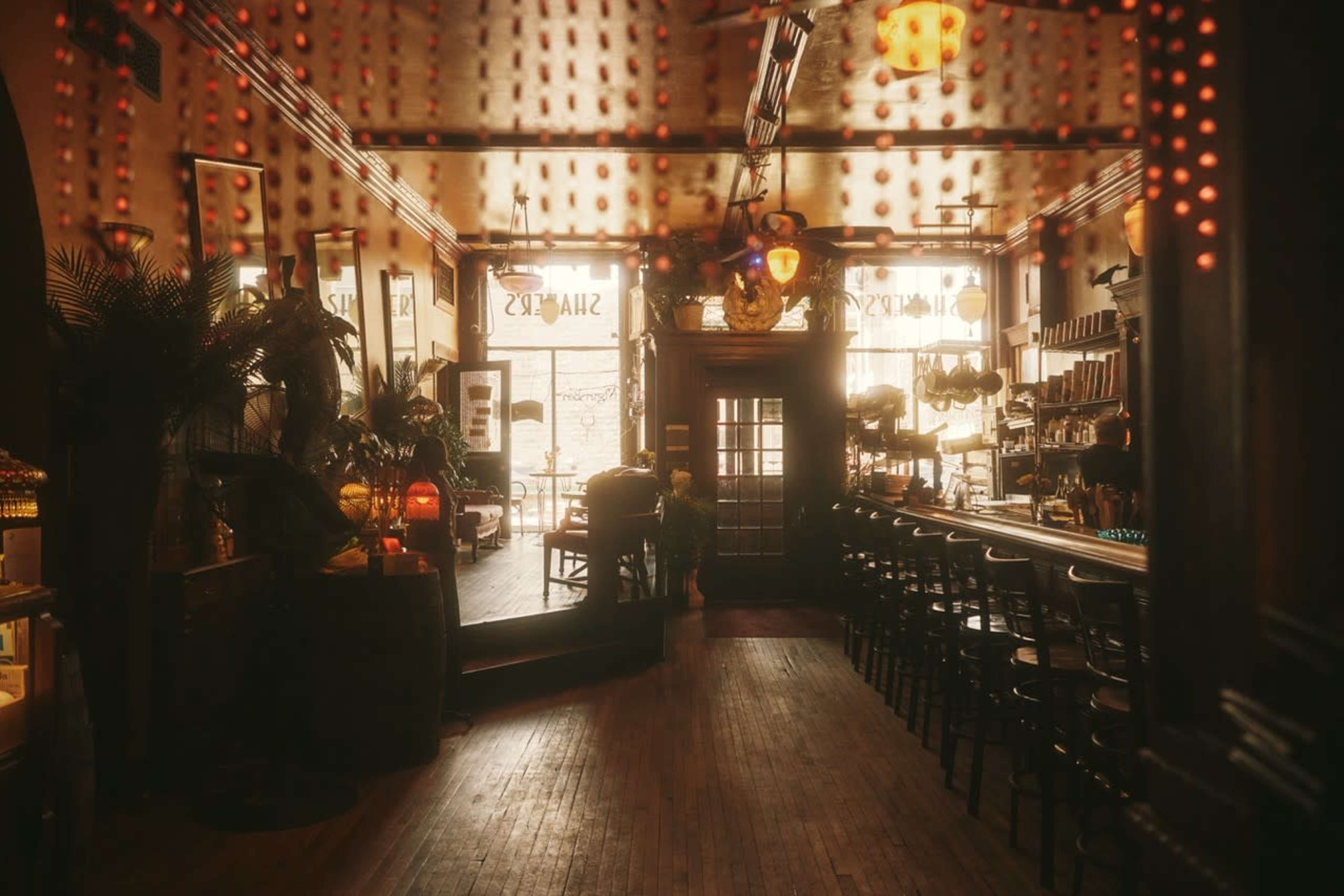 The image shows a dimly lit bar interior with wooden flooring, a long bar counter, and decorative plants, creating an intimate atmosphere.