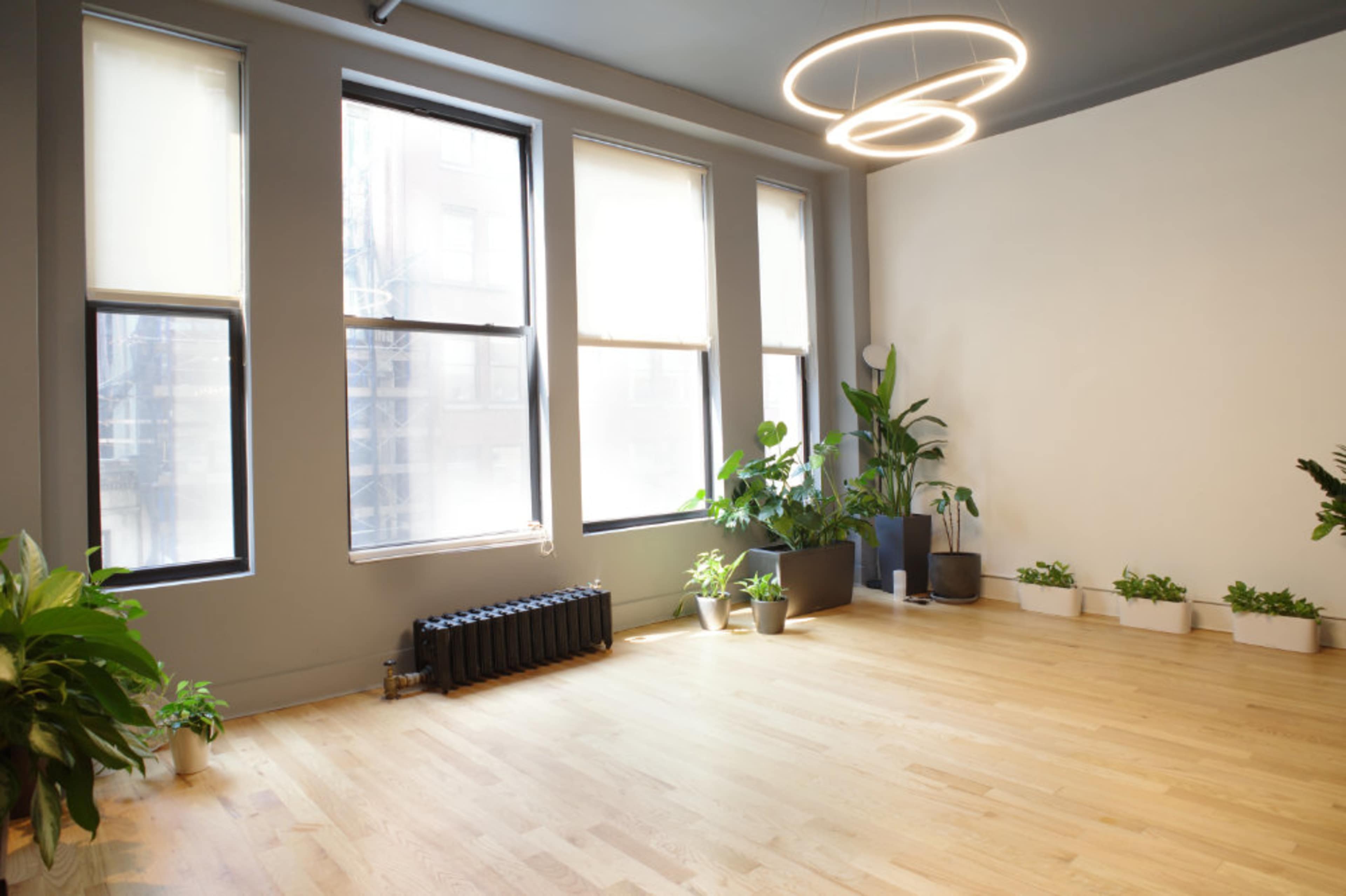A well-lit, minimalist room features large windows, wooden flooring, and several potted plants.