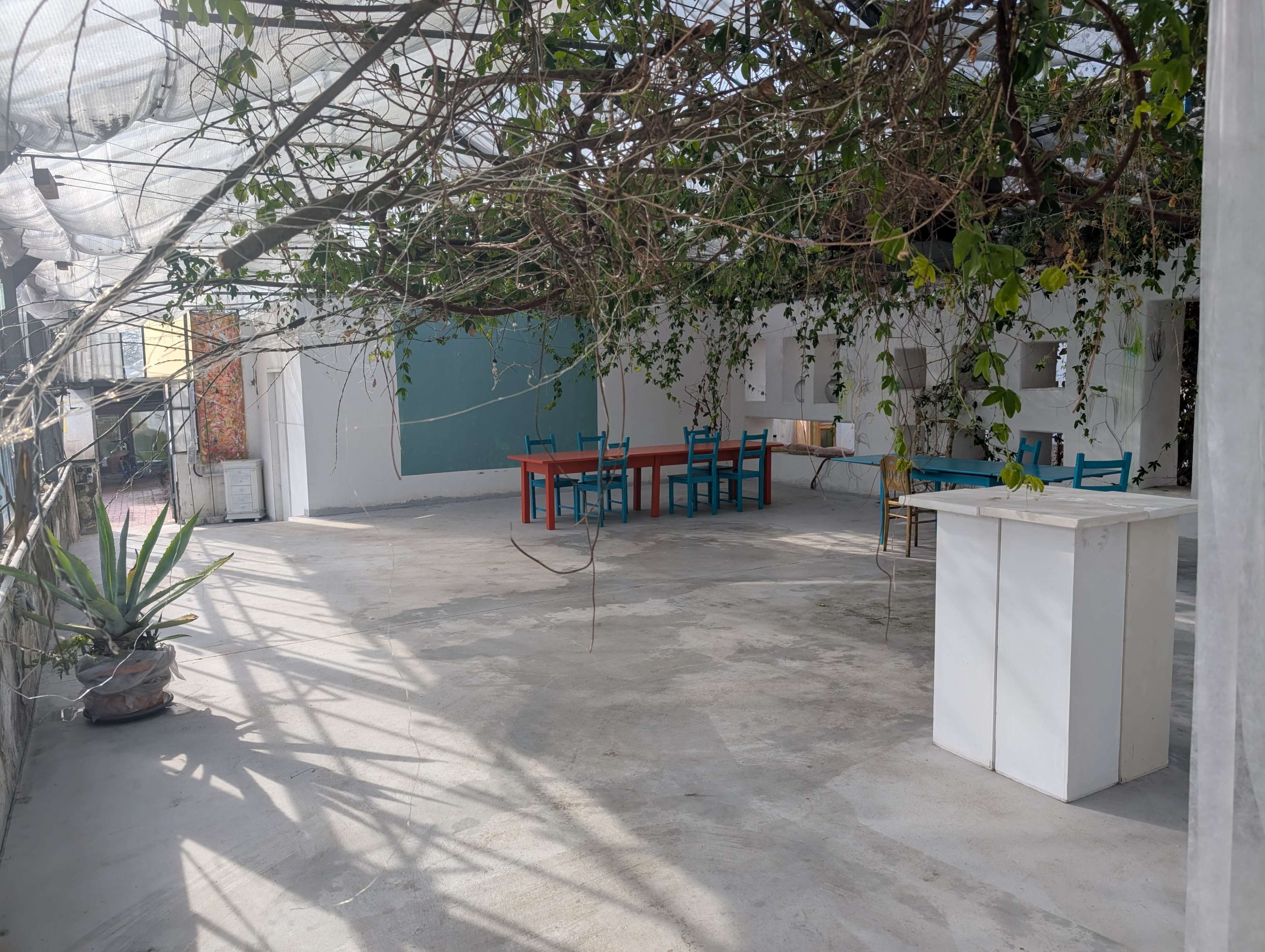 Altes Gewächshaus als Fotostudio im Grünen Bild in , Recklinghausen, 