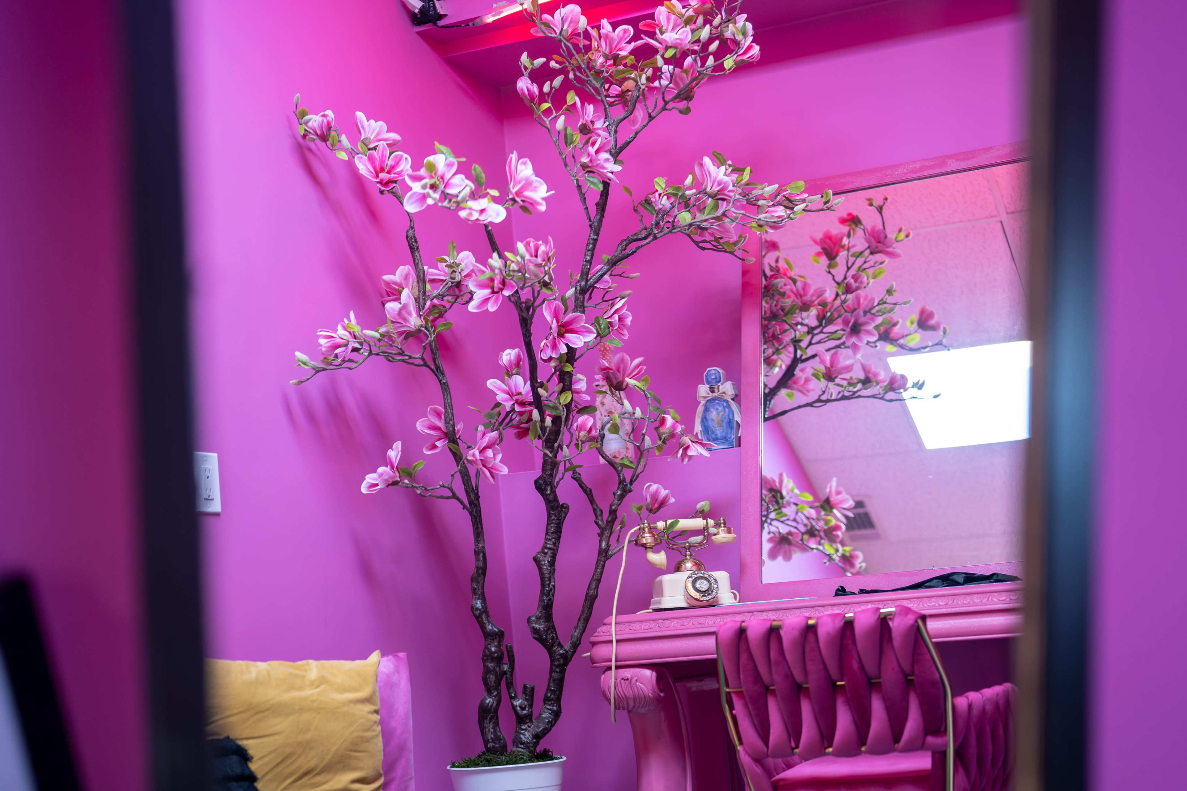 A pink-themed room features a flowering tree, a mirror, and a vintage telephone placed on a table.
