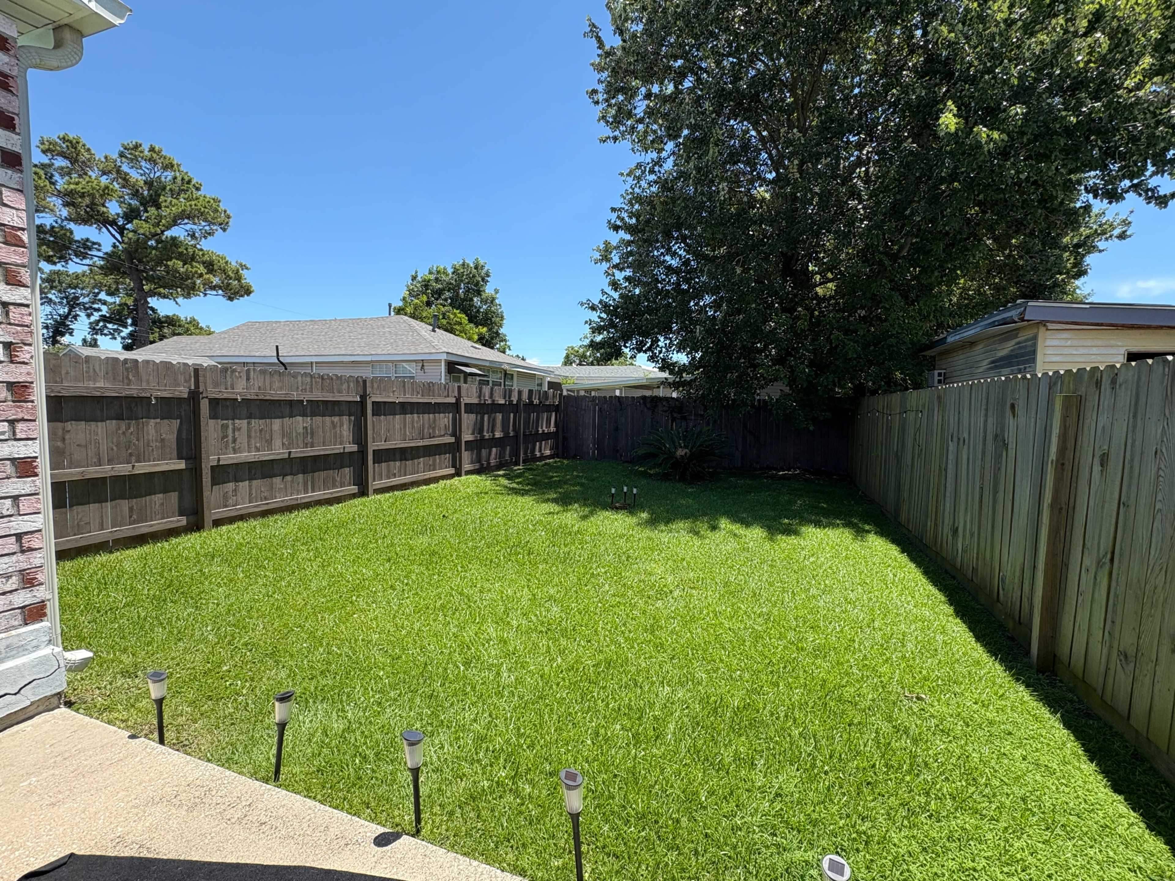 The image shows a grassy backyard enclosed by wooden fences with trees and sunny blue skies overhead.