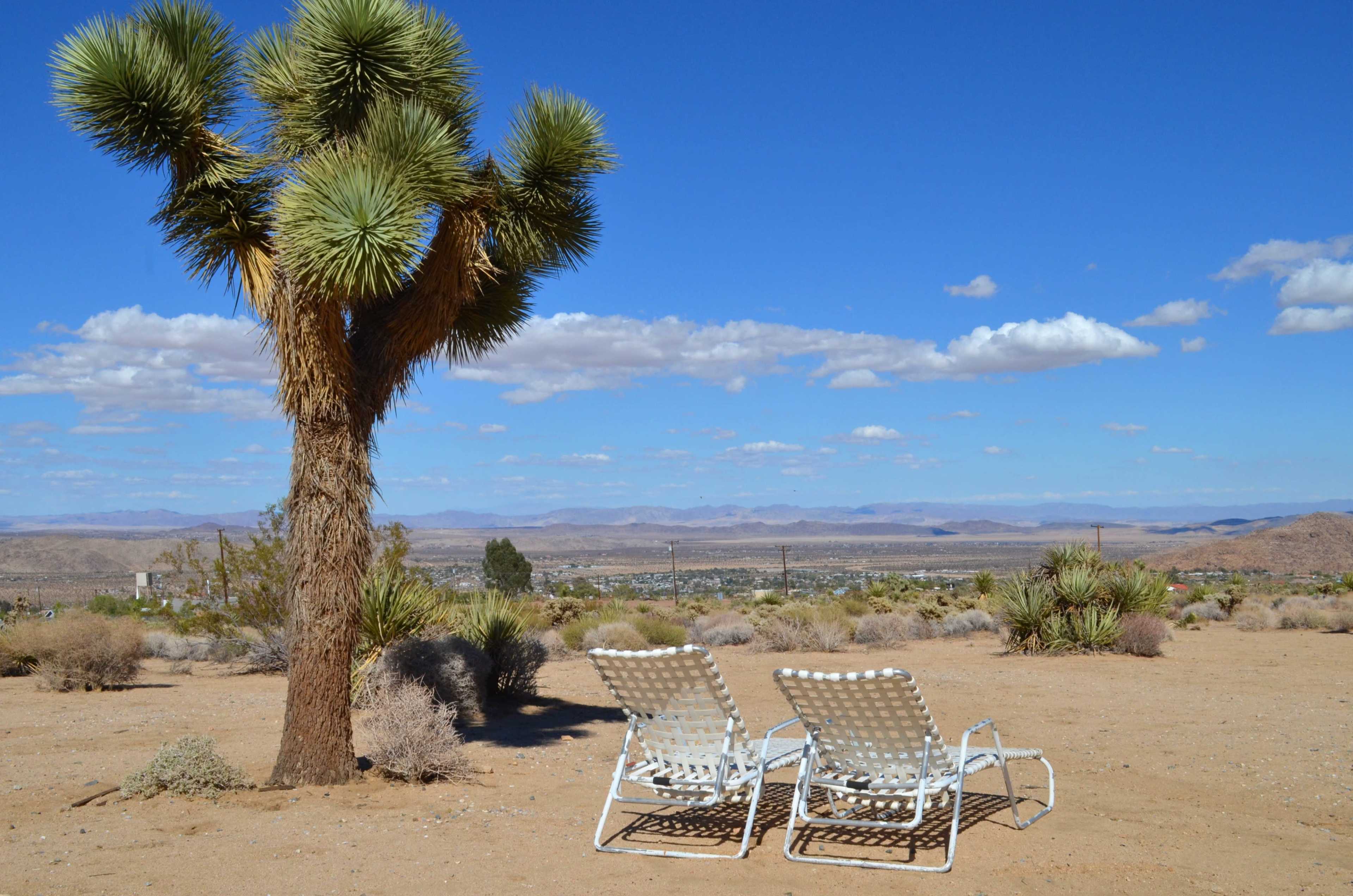 Two lounge chairs sit in the desert under a Joshua tree, overlooking a vast landscape with distant mountains and scattered vegetation.