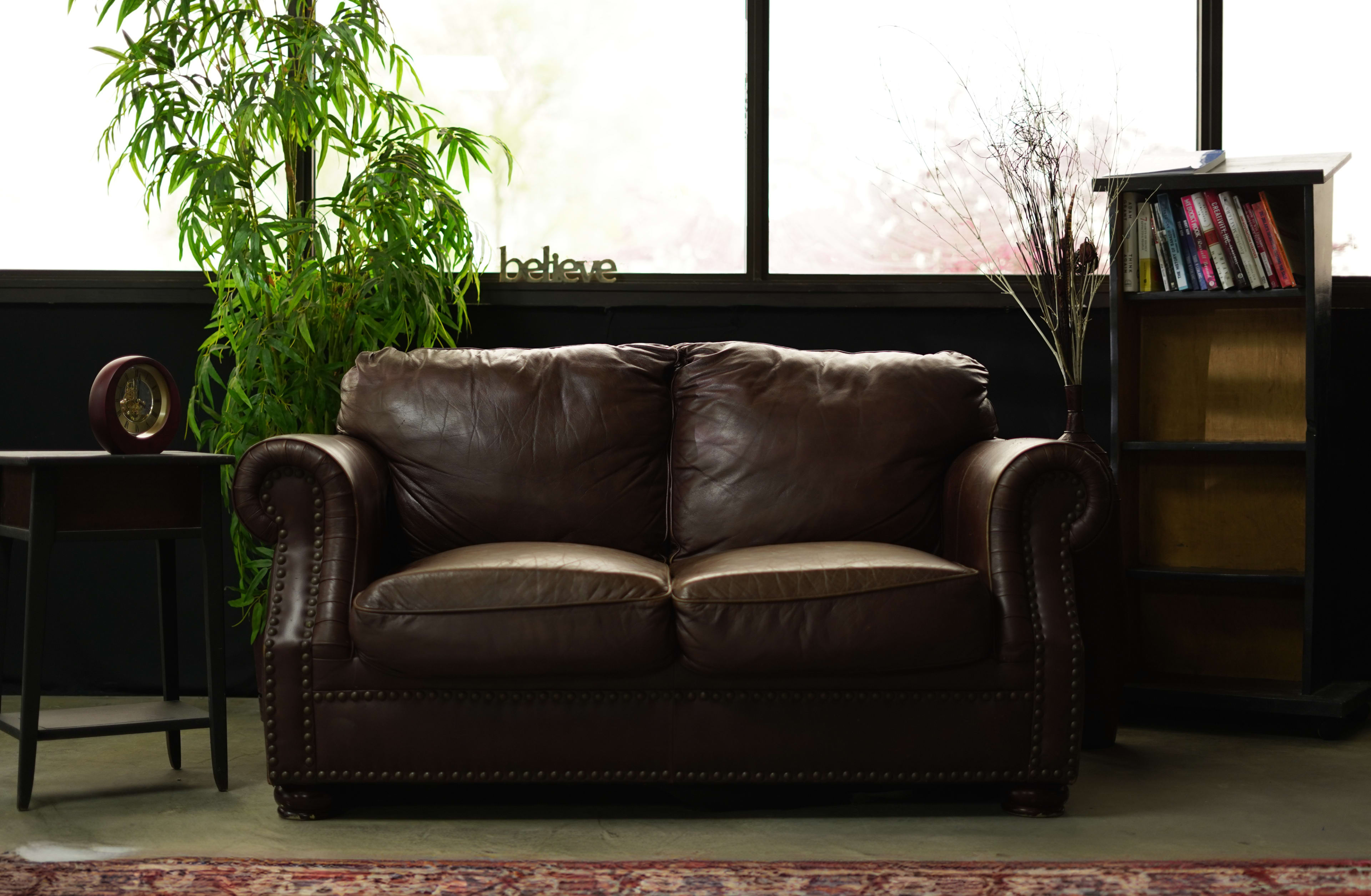 A brown leather loveseat positioned in a room with large windows, a potted plant, and a bookshelf.