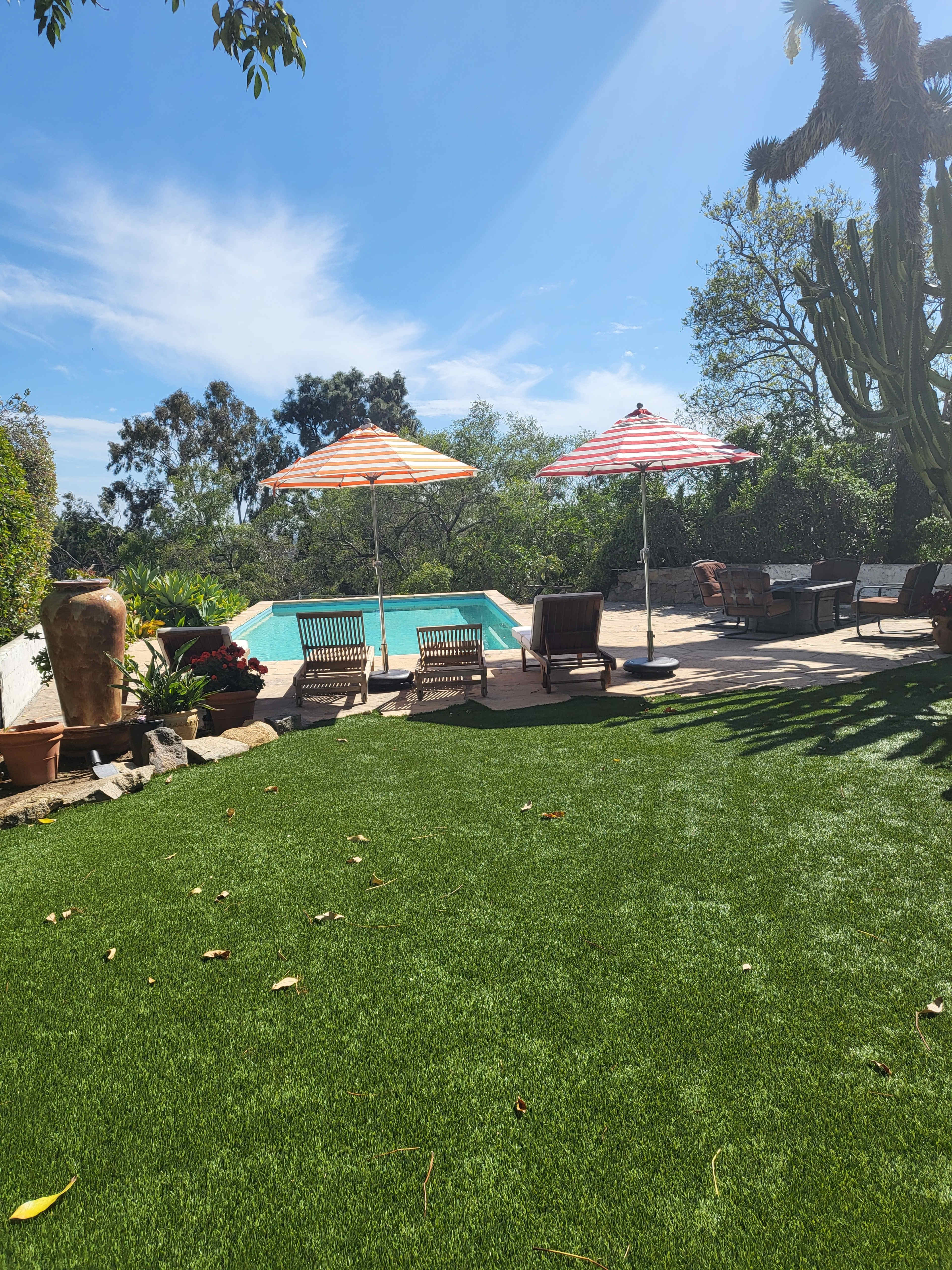 A well-maintained backyard with a swimming pool, lounge chairs, and large umbrellas, surrounded by greenery and artificial grass.