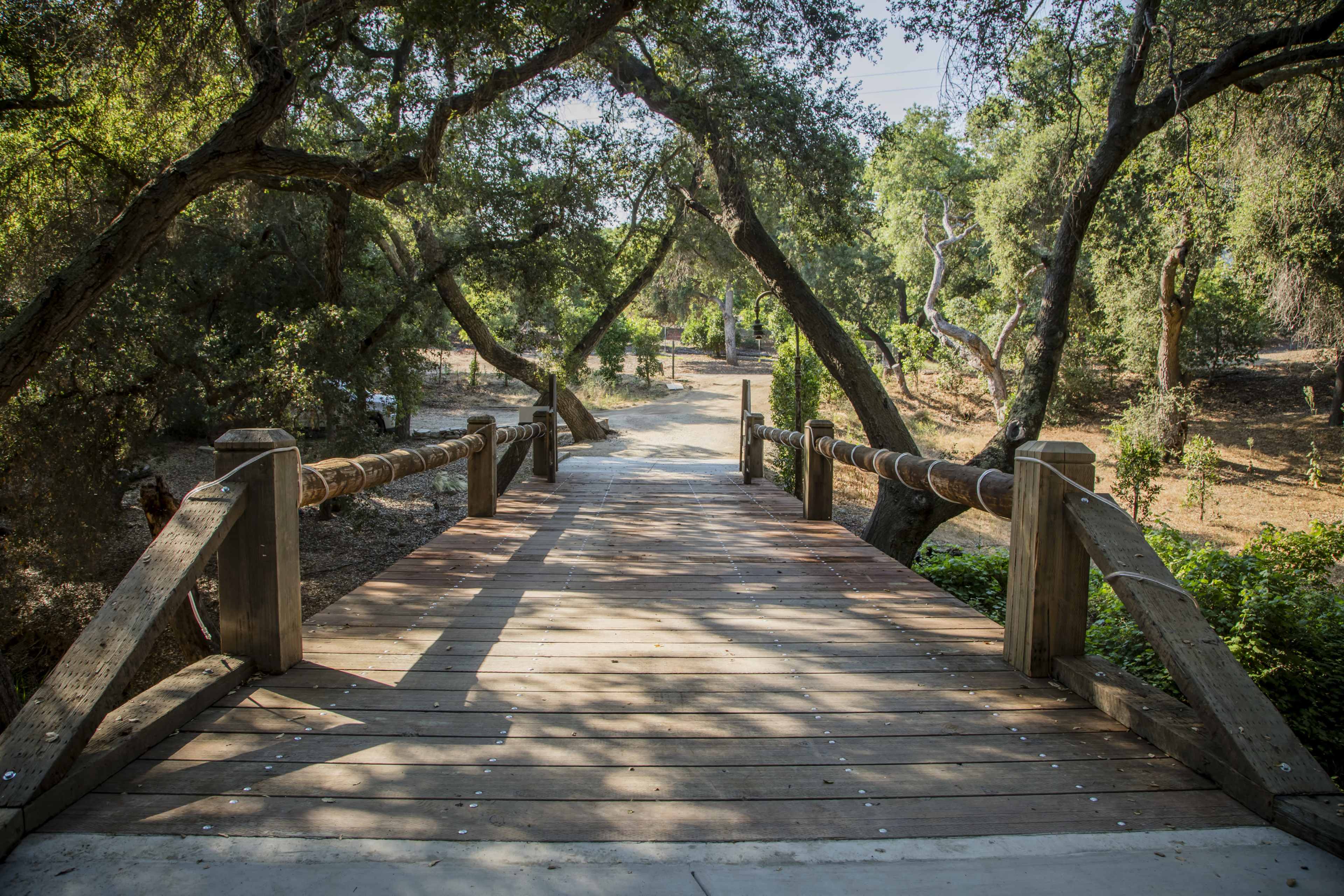 A wooden bridge leads through a tree-lined pathway in a natural setting.