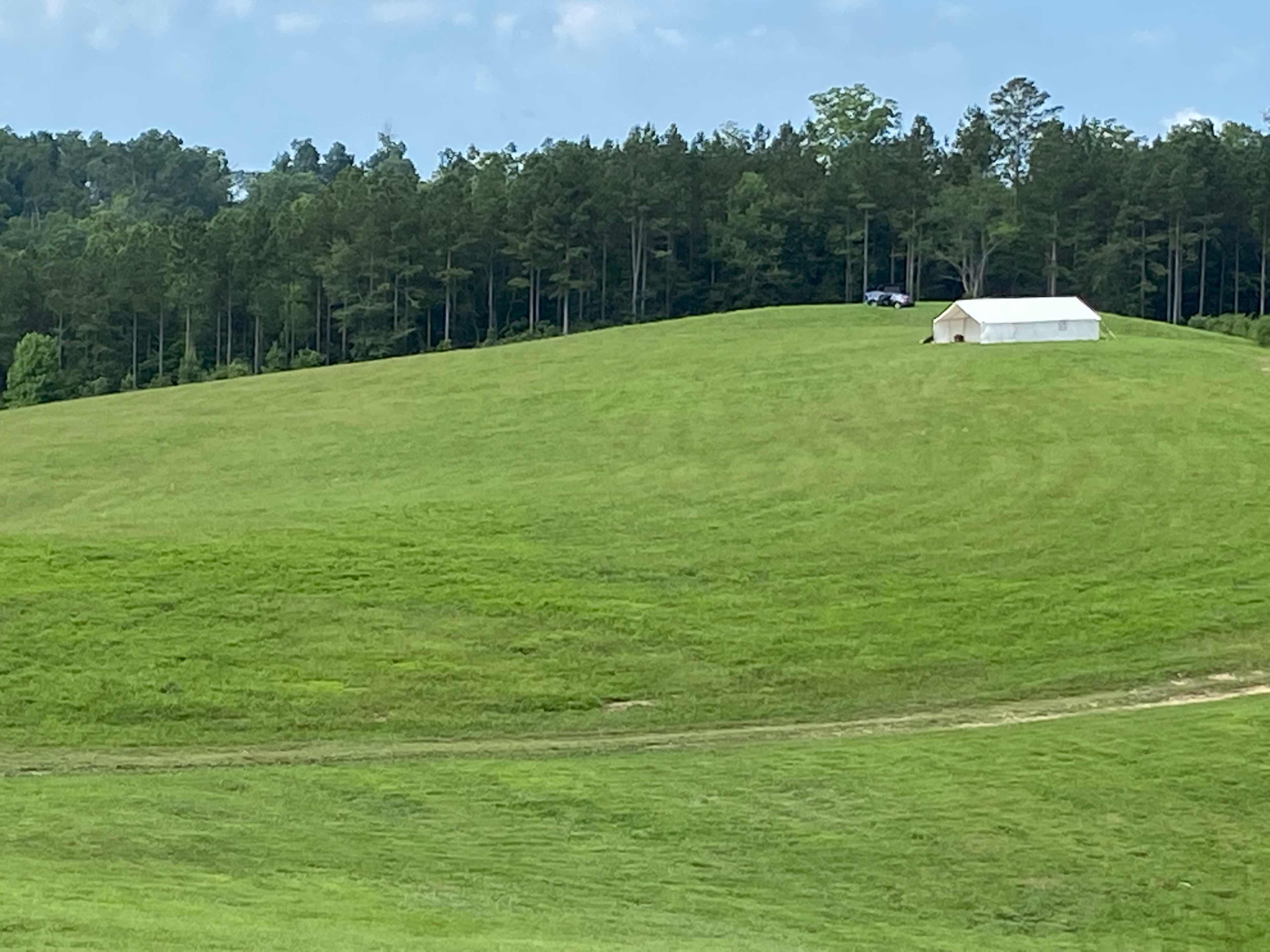 A white tent is set up on a grassy hillside, with a forest of trees in the background.