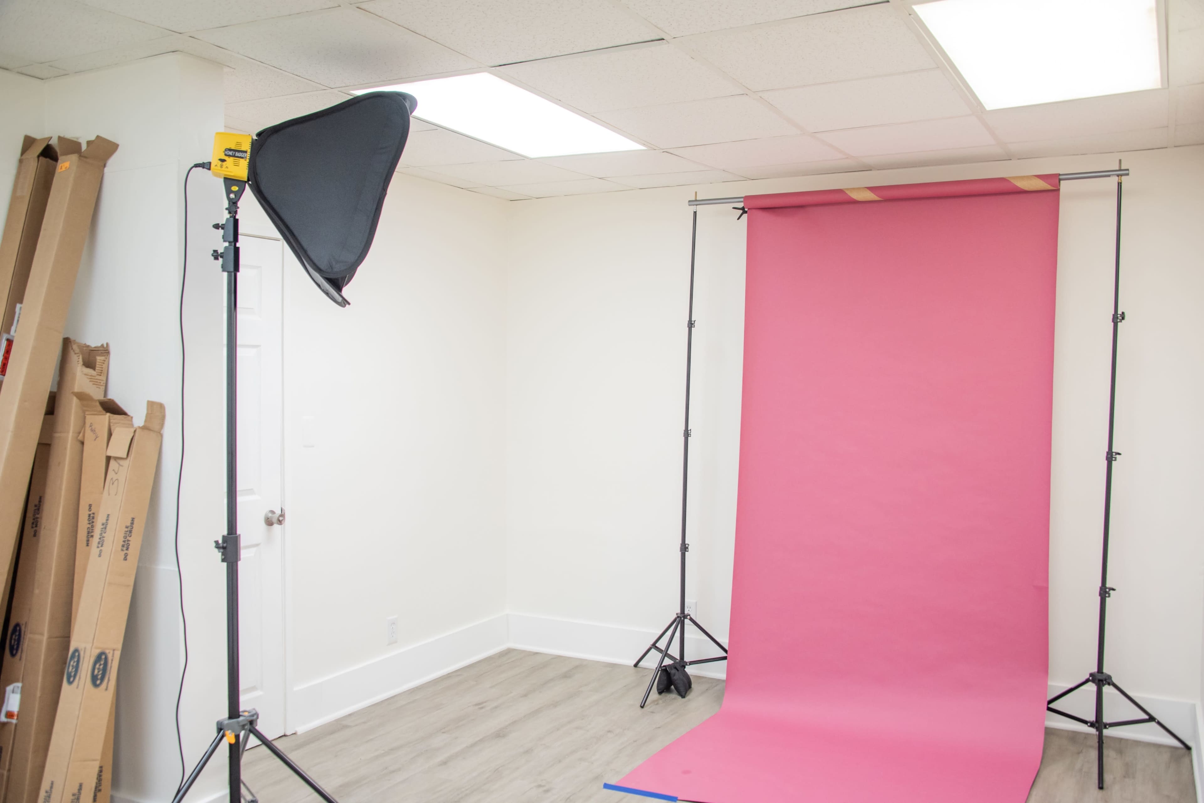The image shows a photography setup featuring a pink backdrop on a stand, softbox lighting to the left, and a plain white-walled room with light-colored flooring.