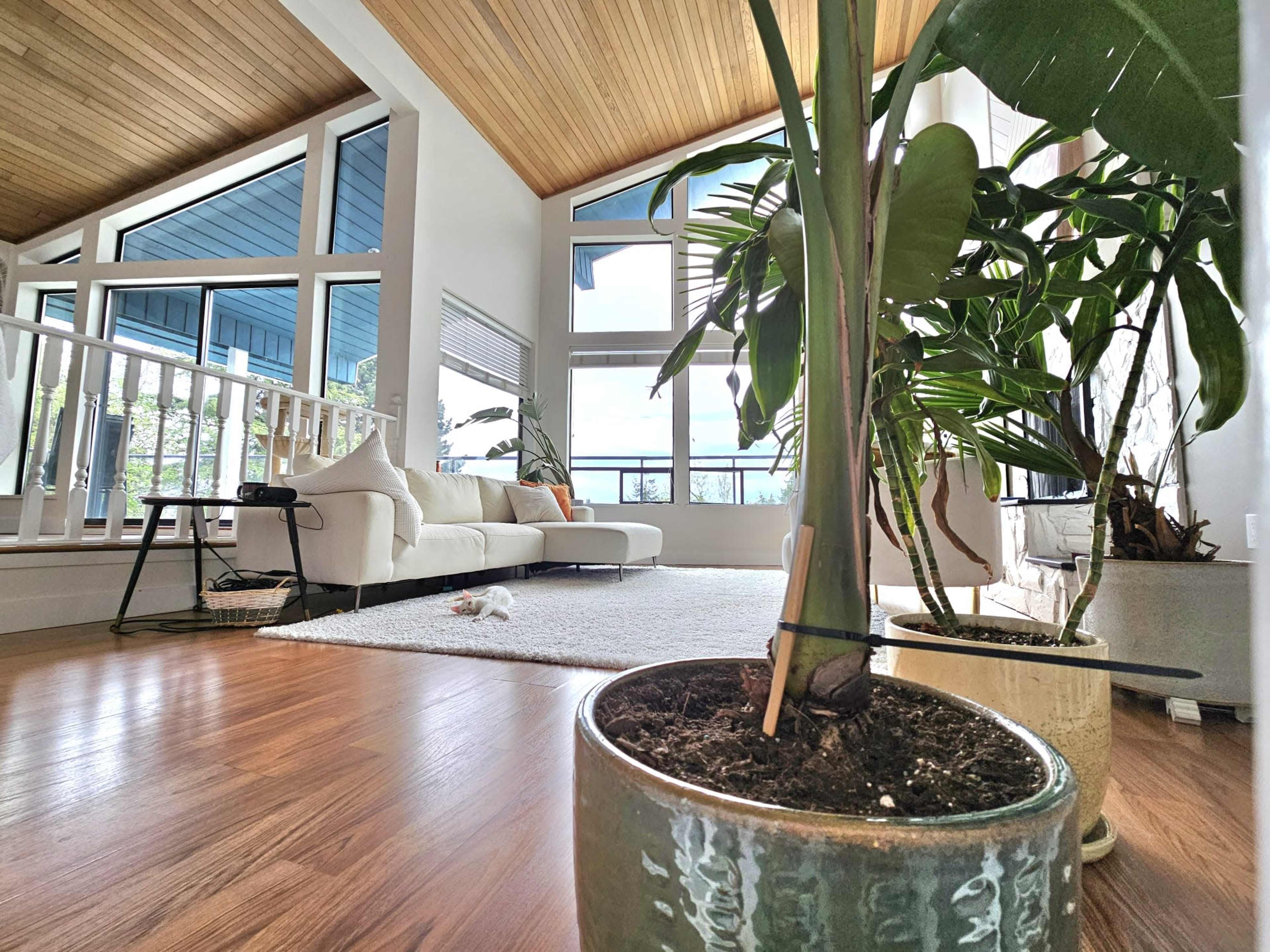 Bohemian Bali-Inspired Home with Panoramic Views & High Ceilings Image in Coquitlam, Coquitlam, BC