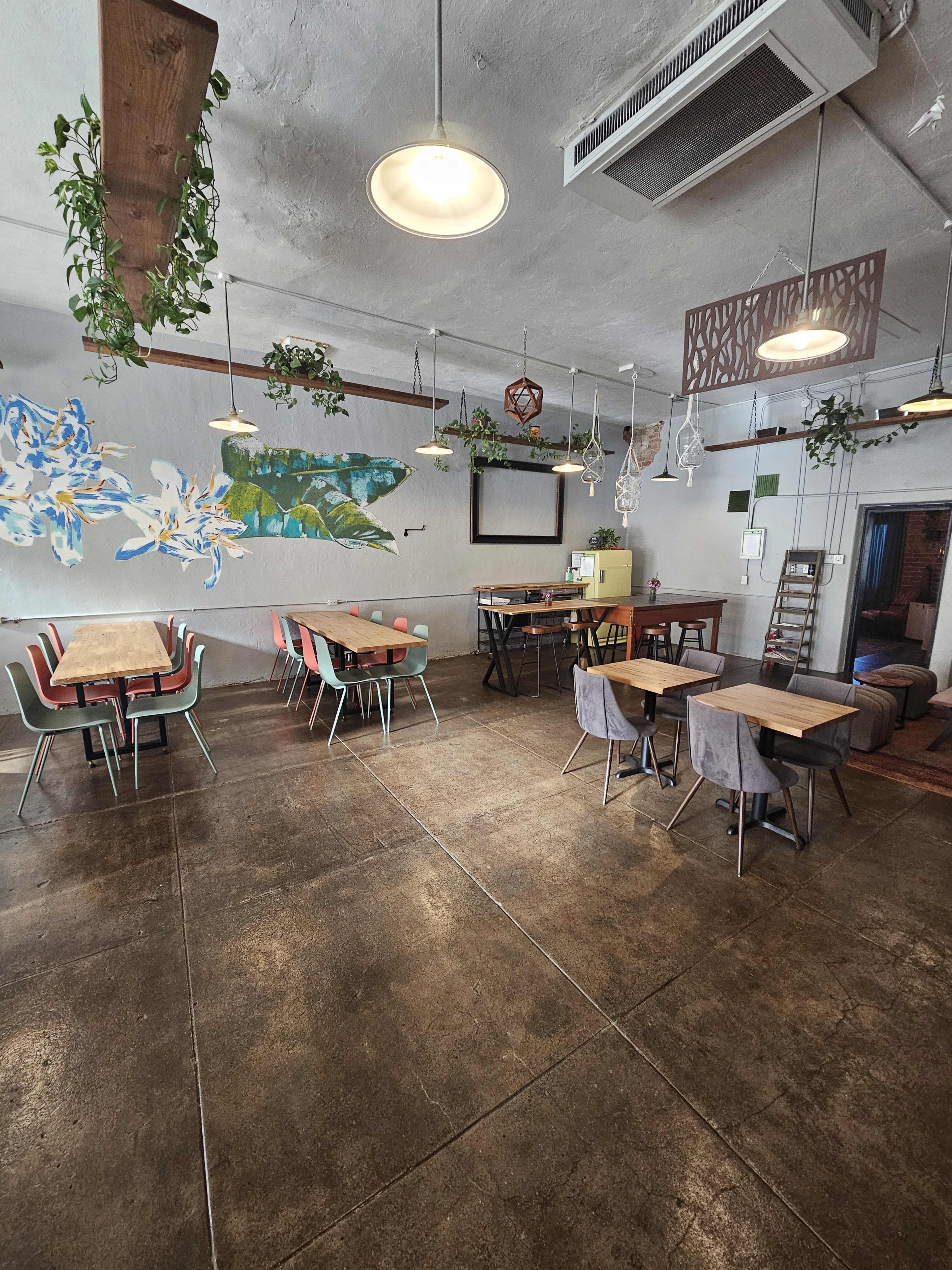 The image shows a spacious, well-lit café with wooden tables and various seating options, adorned with hanging plants and decorative art on the walls.