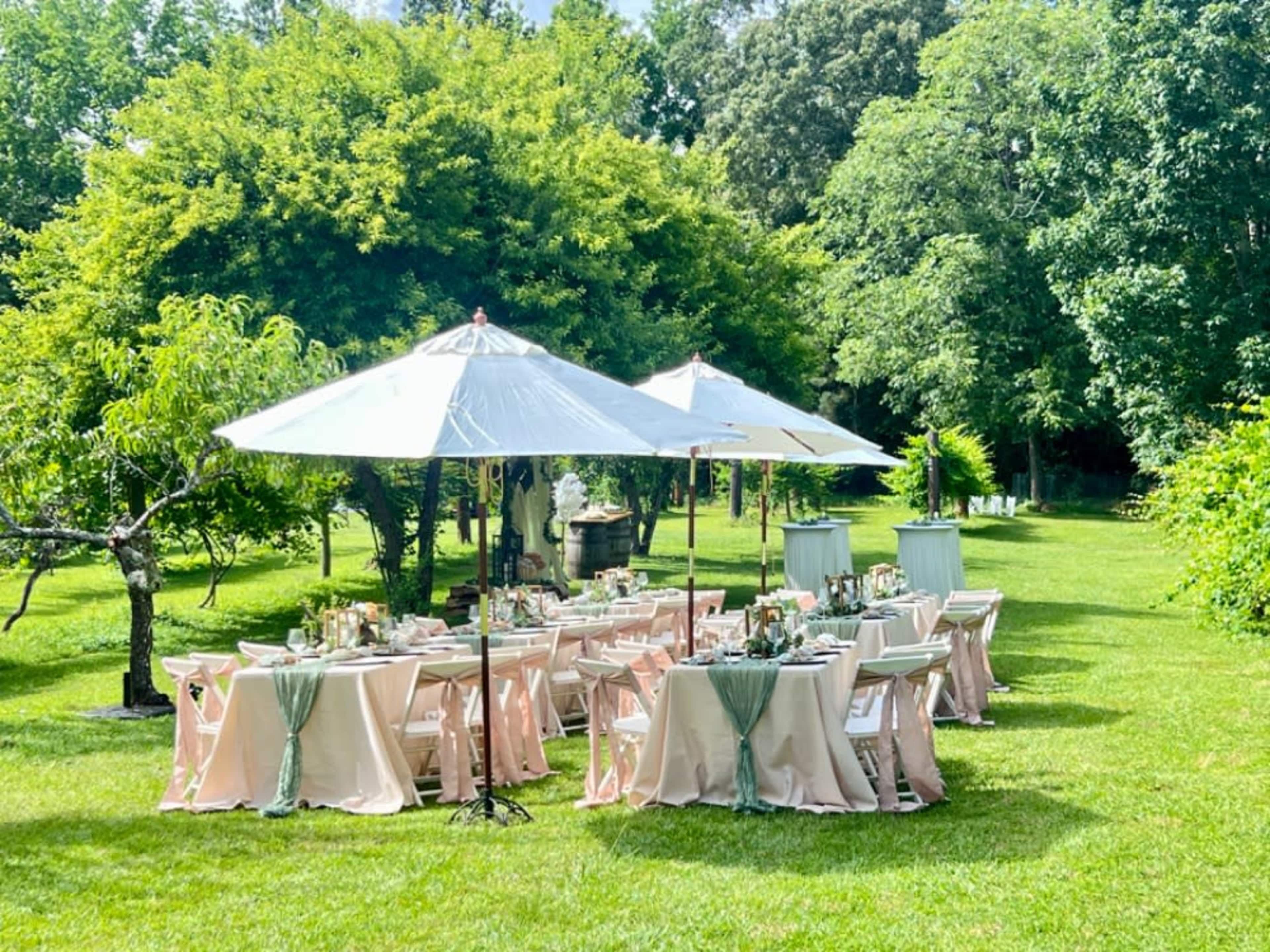 Full Venue Upgrade: Pavilion + Vineyard Lawns