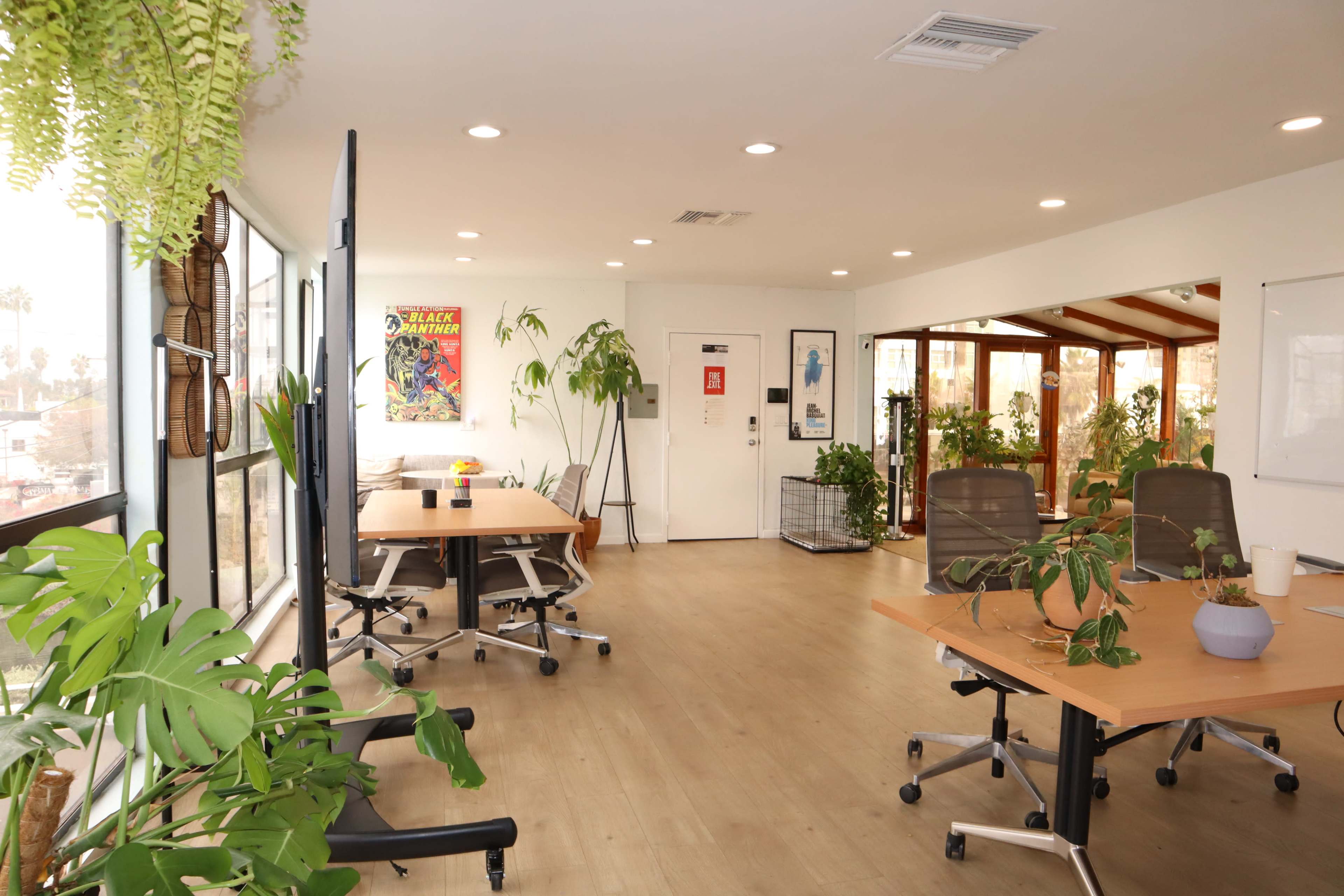 The image shows a modern office space with two desks, several plants, and large windows, creating a bright and inviting workspace.