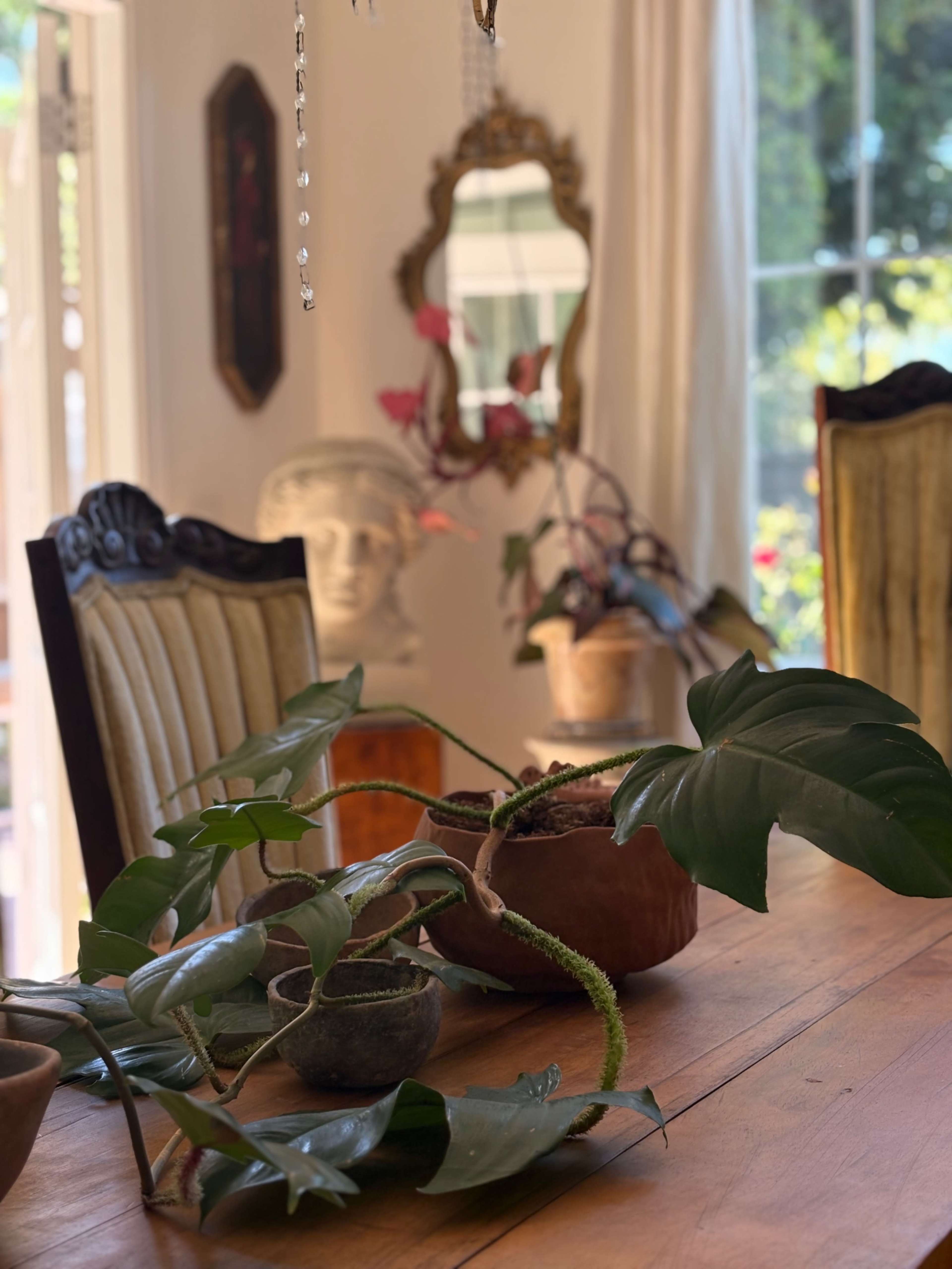 Helira’s Sanctuary Image in Santa Fe Hills, San Marcos 9, CA