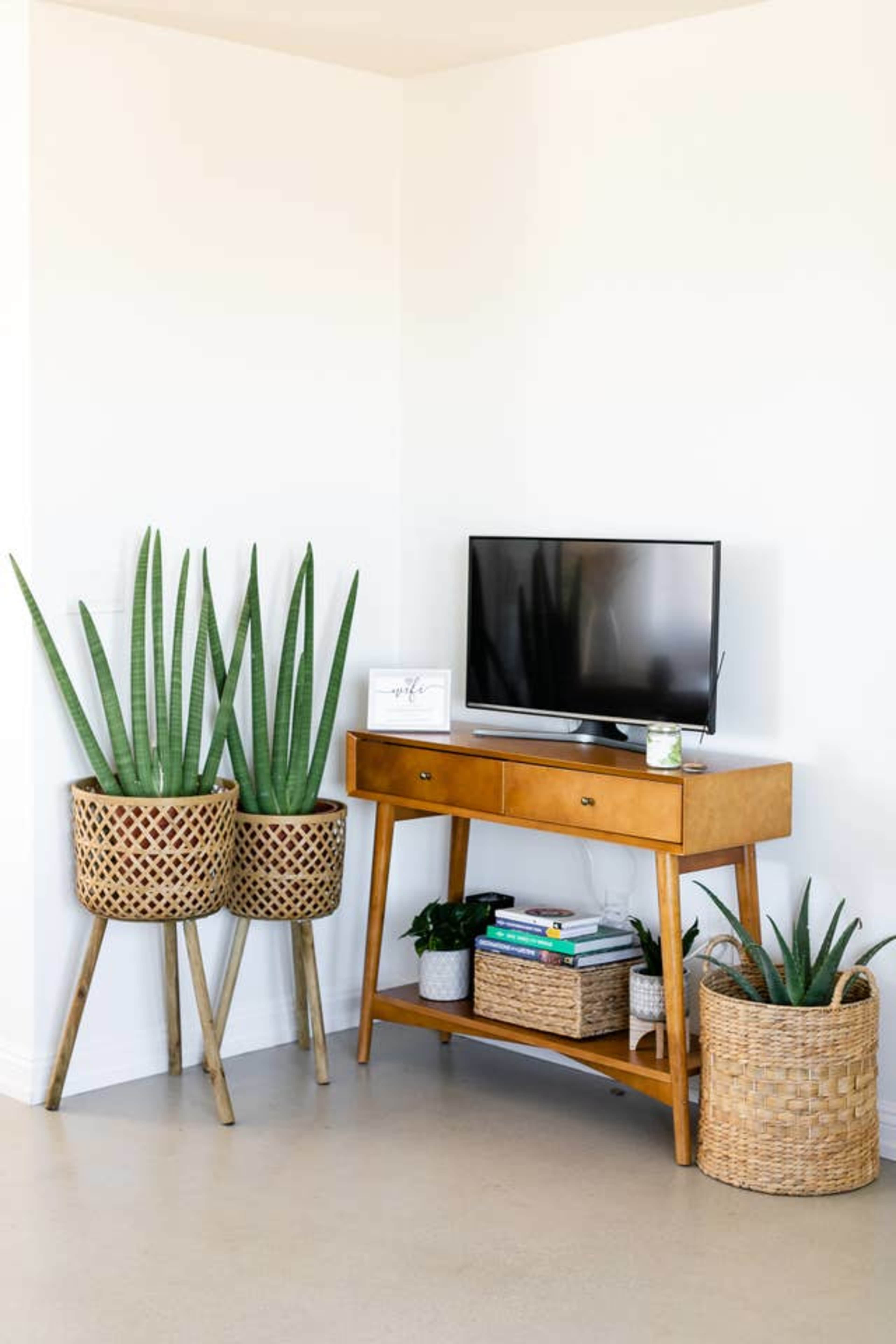 A wooden console table with a TV sits in a corner, flanked by tall indoor plants in woven baskets.