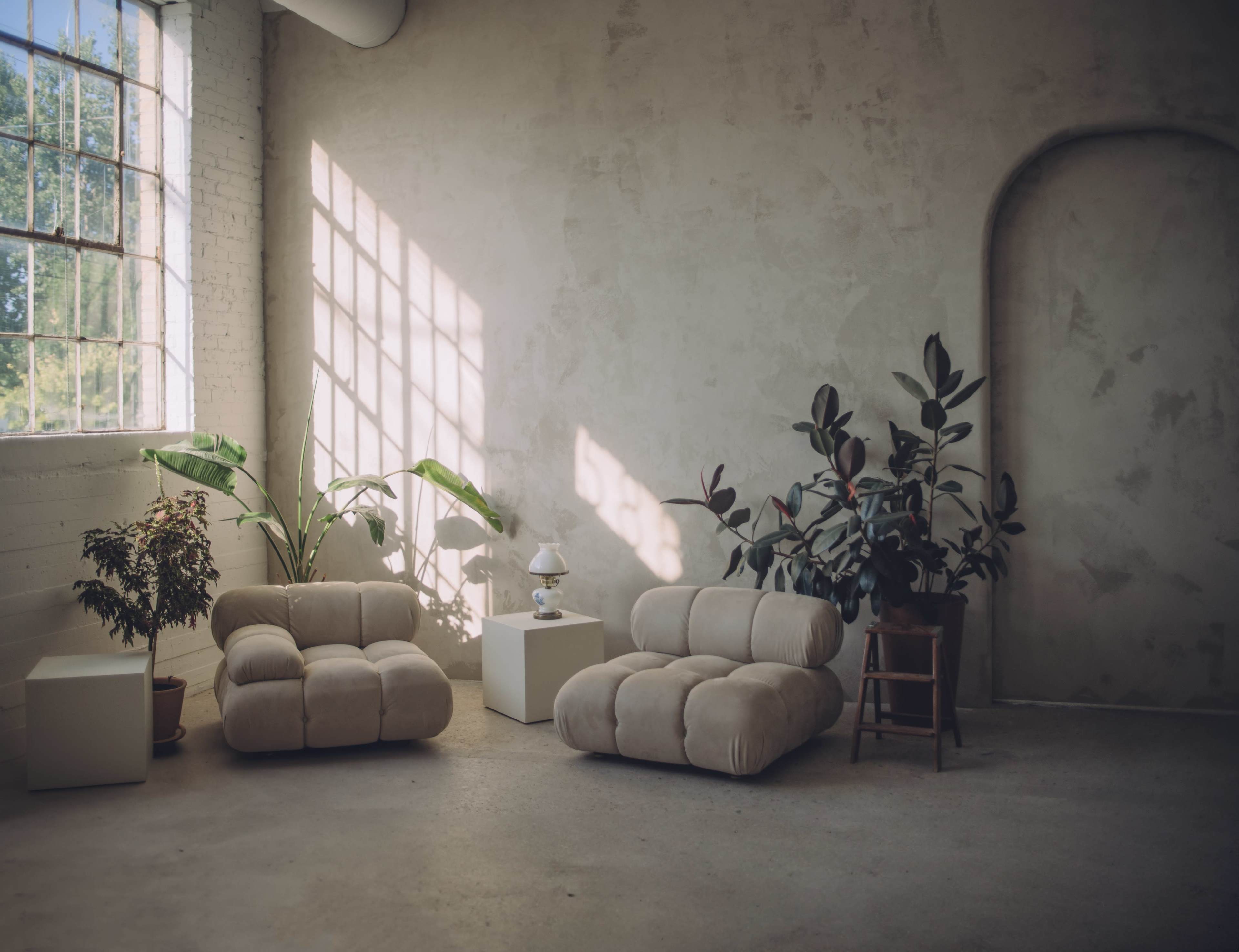 A minimalist interior with two soft, low sofas, a small table with a lamp, and several potted plants against a textured wall and large window.