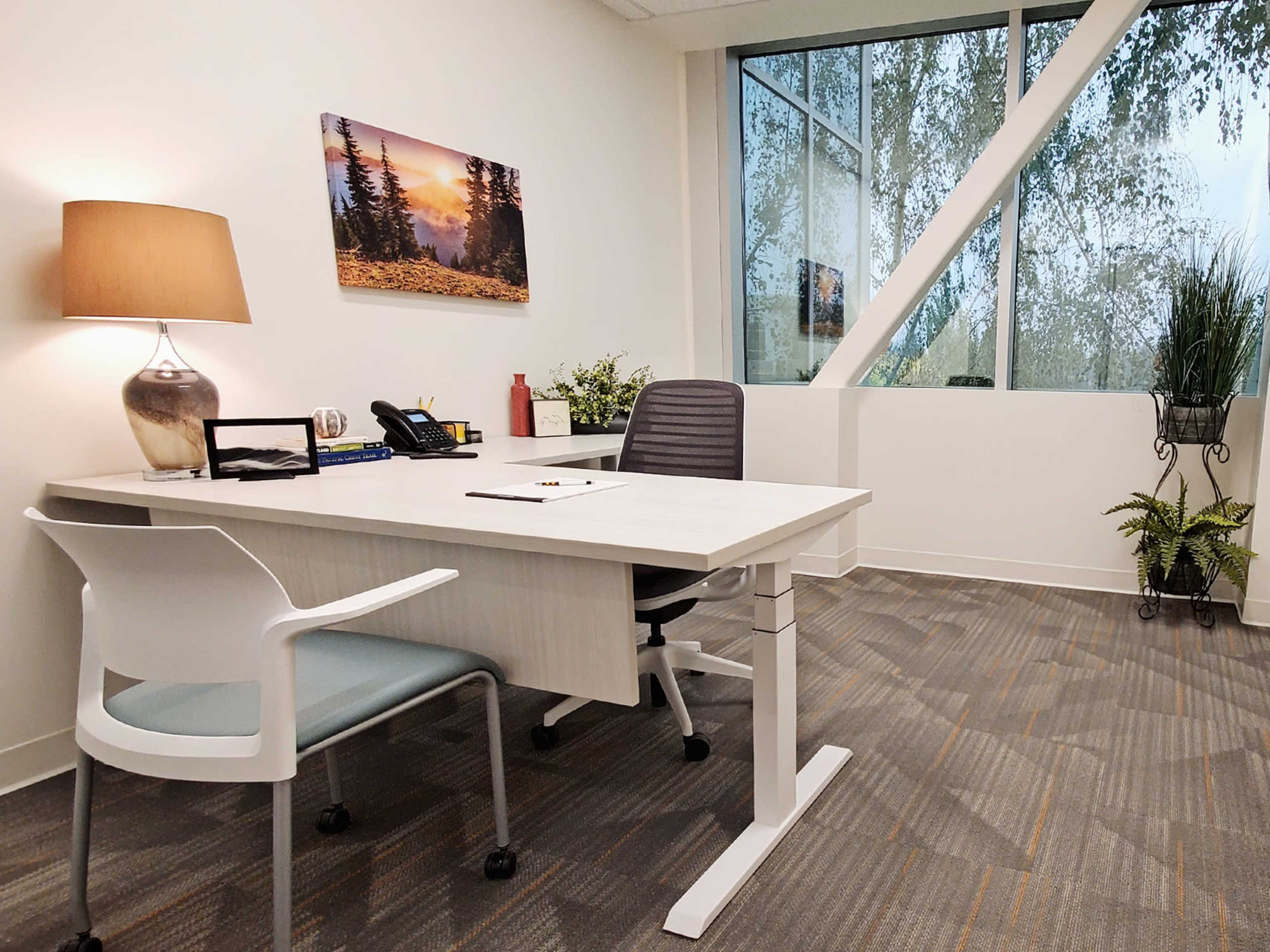 A modern office space with a desk, chair, lamp, and a window featuring a view of greenery outside.